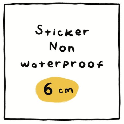 6 CM