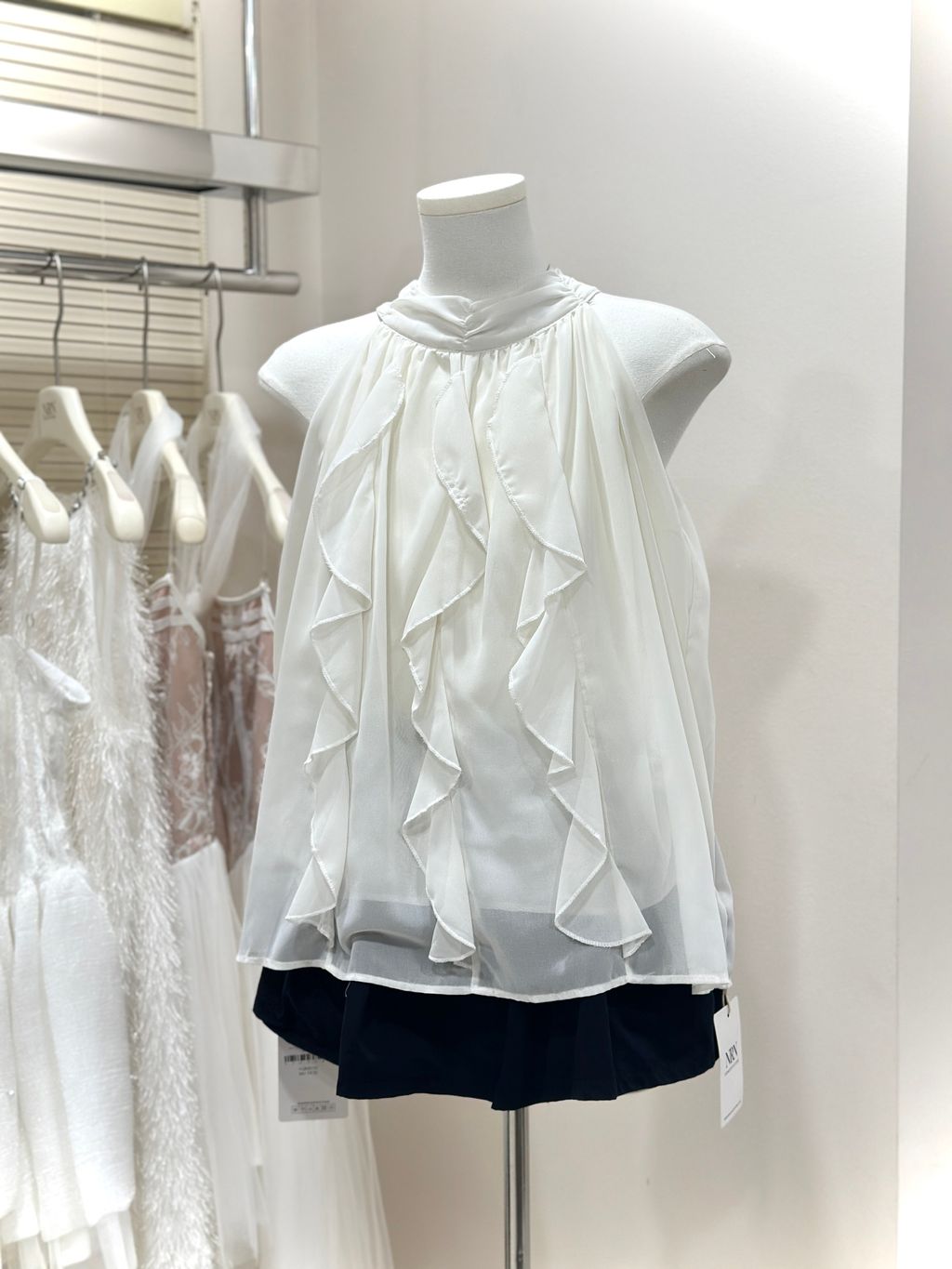 image_23375BB9-7E9D-4F03-9D78-73103A2CCD5C_1763889963