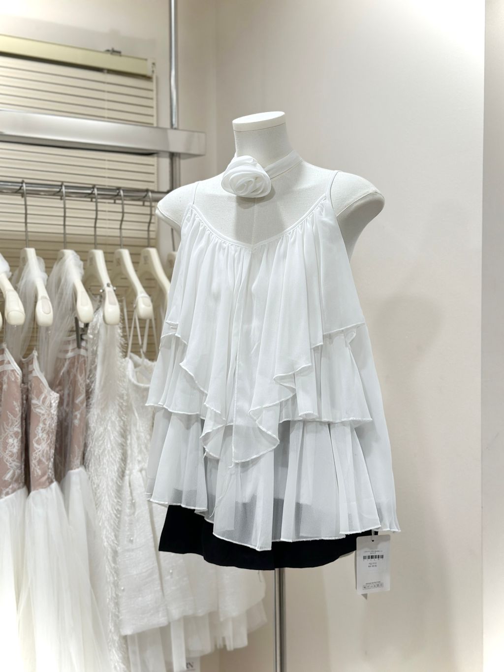 image_01F2C78B-25E3-4F75-85EF-E4AF63899DFA_1764216819