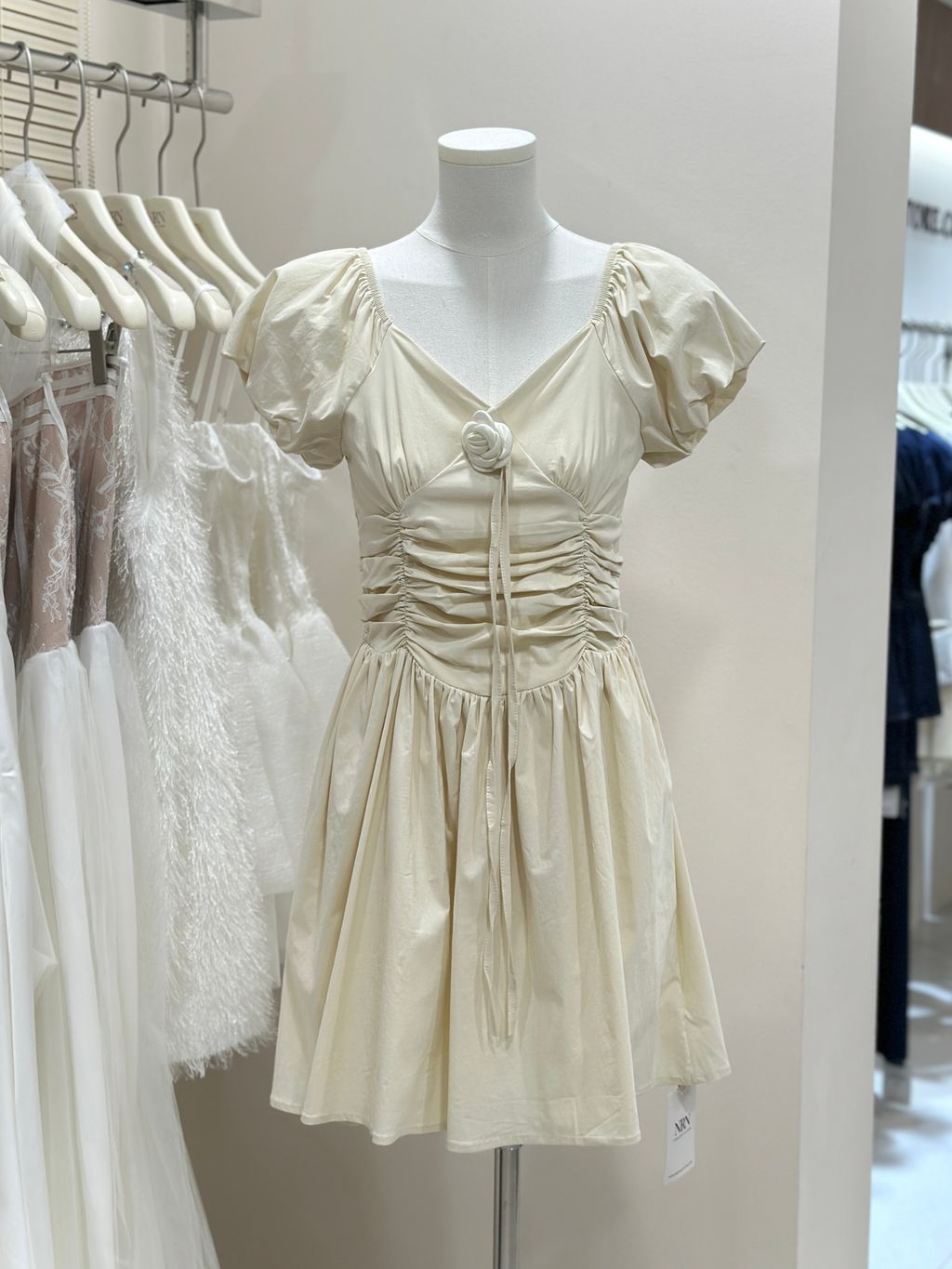 image_196C5DAB-812F-4138-91C1-2B748DF6D732_1764655538