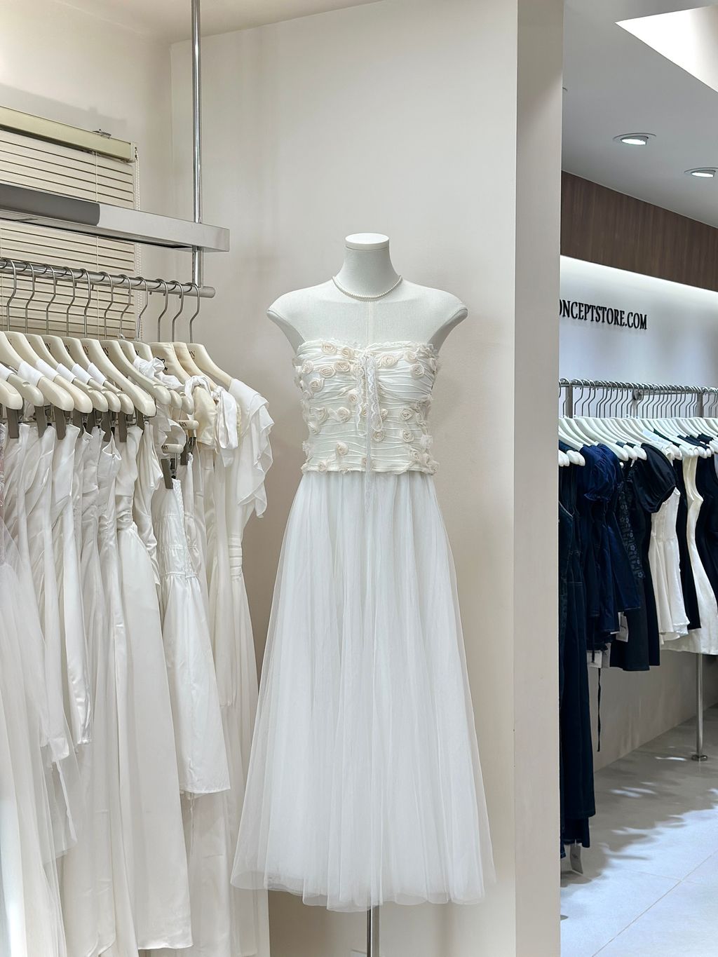 image_0A31CE01-4335-4F15-AC48-560155EDCB2A_1767087602