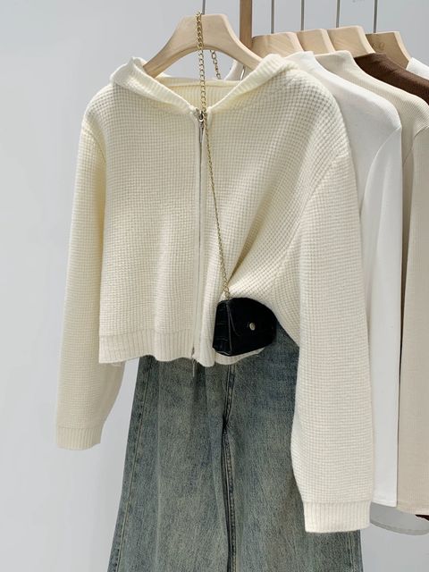 image_06DC82F4-C8BF-42F3-BF90-40B5EACB370E_1767426209