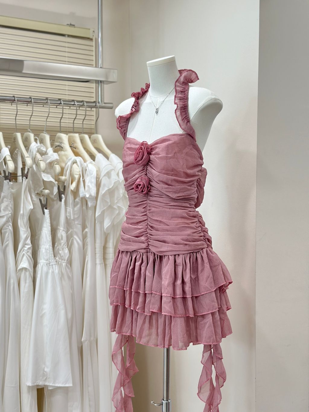 image_B6CF488B-06F4-409A-A07A-161B68BE20FB_1767579540