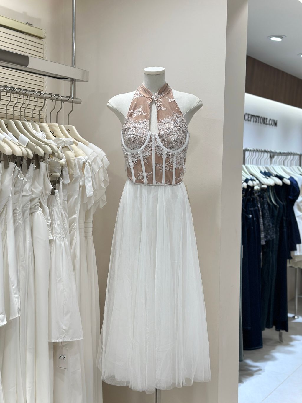 image_CDED3167-8806-4586-8693-0FD5648856E8_1768208220