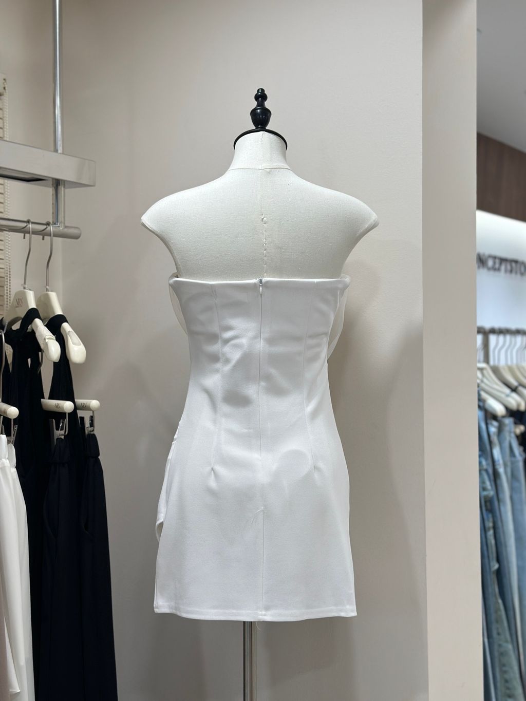 image_33A95203-5A1C-4F34-AA6D-7F4E006A9EBC_1771673963