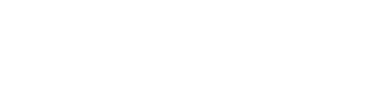 SHIMMER 微光花藝
