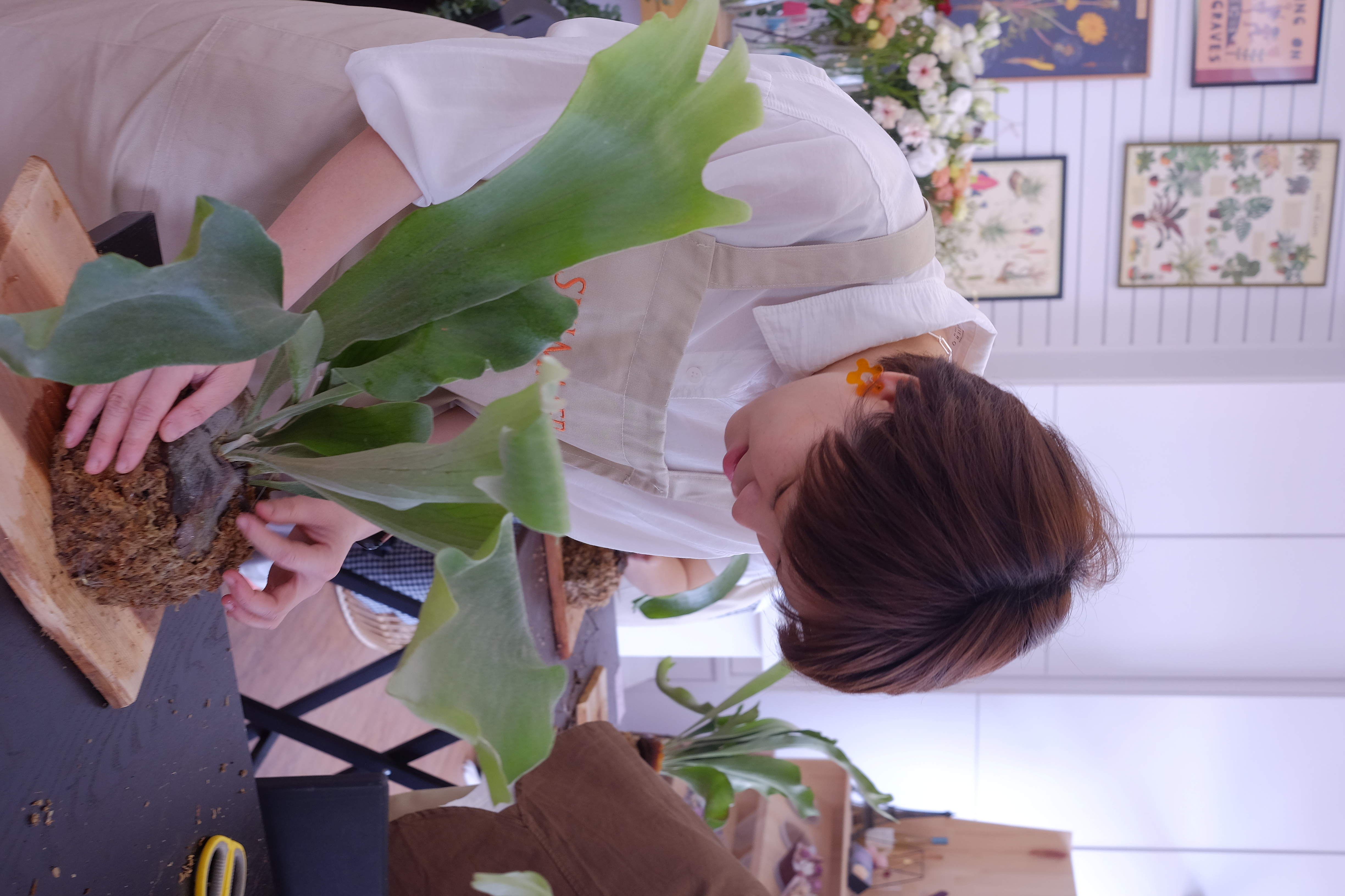 S__77660193.jpg S__77660193.jpg