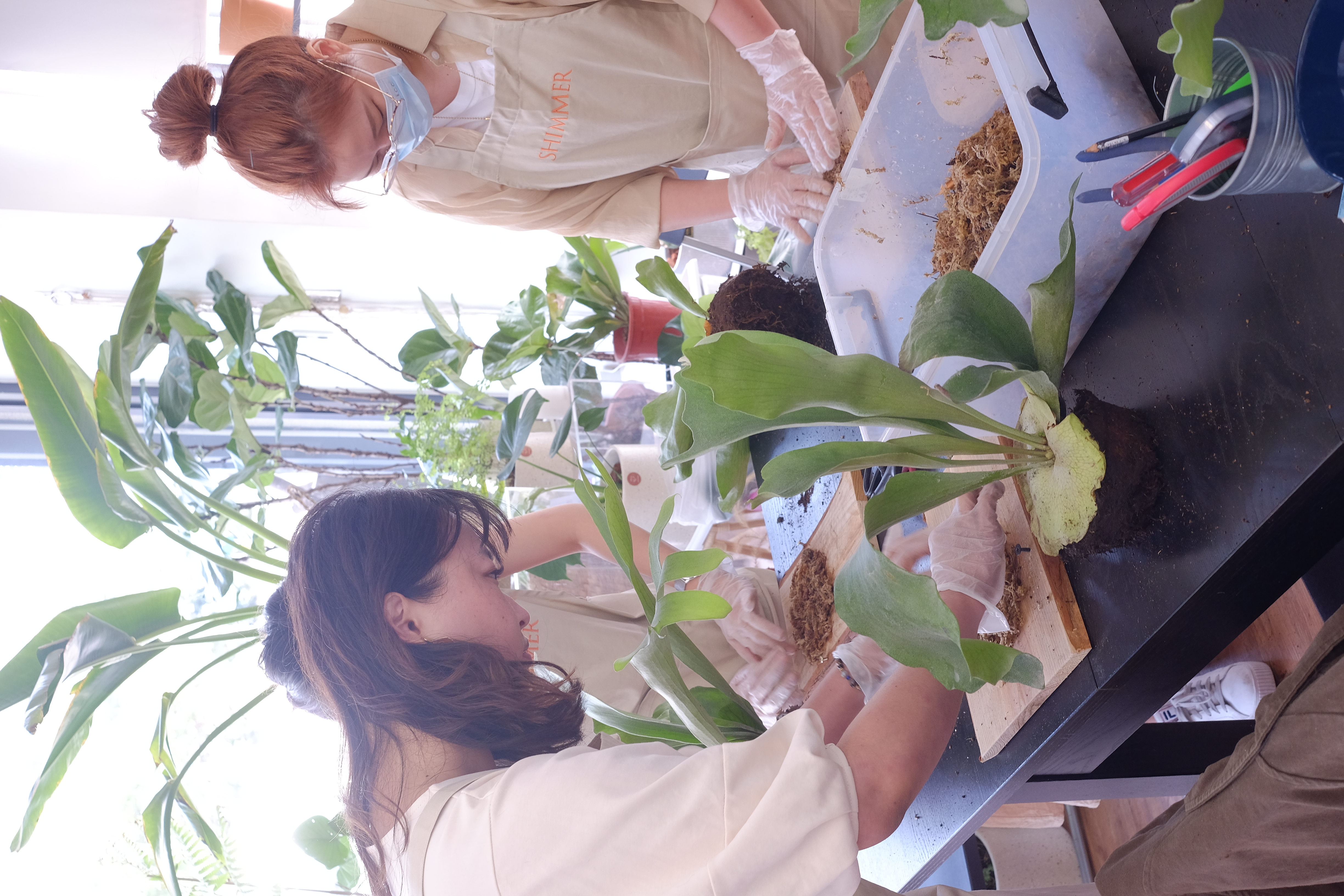 S__77660191.jpg S__77660191.jpg