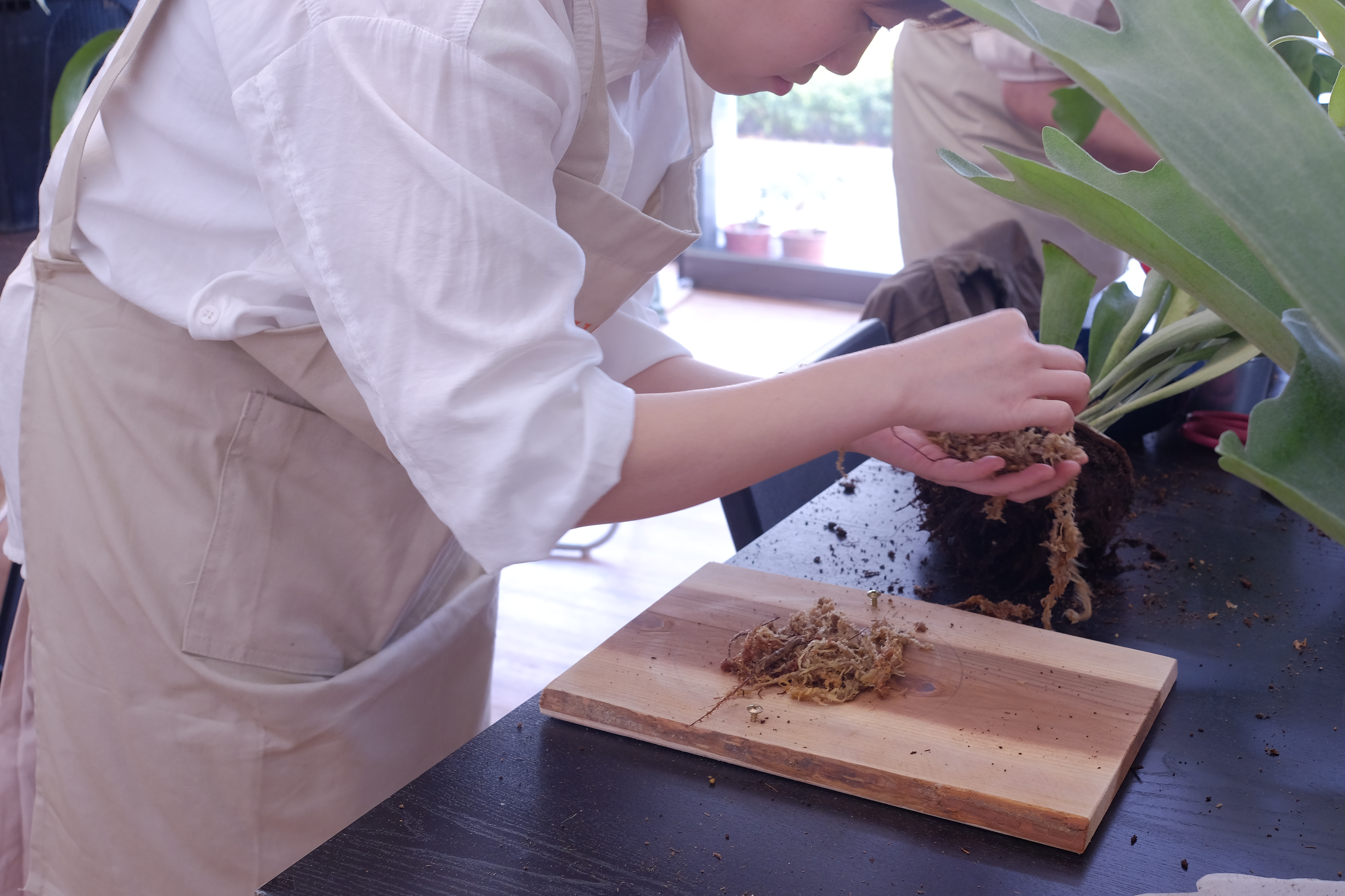 S__77660188.jpg S__77660188.jpg