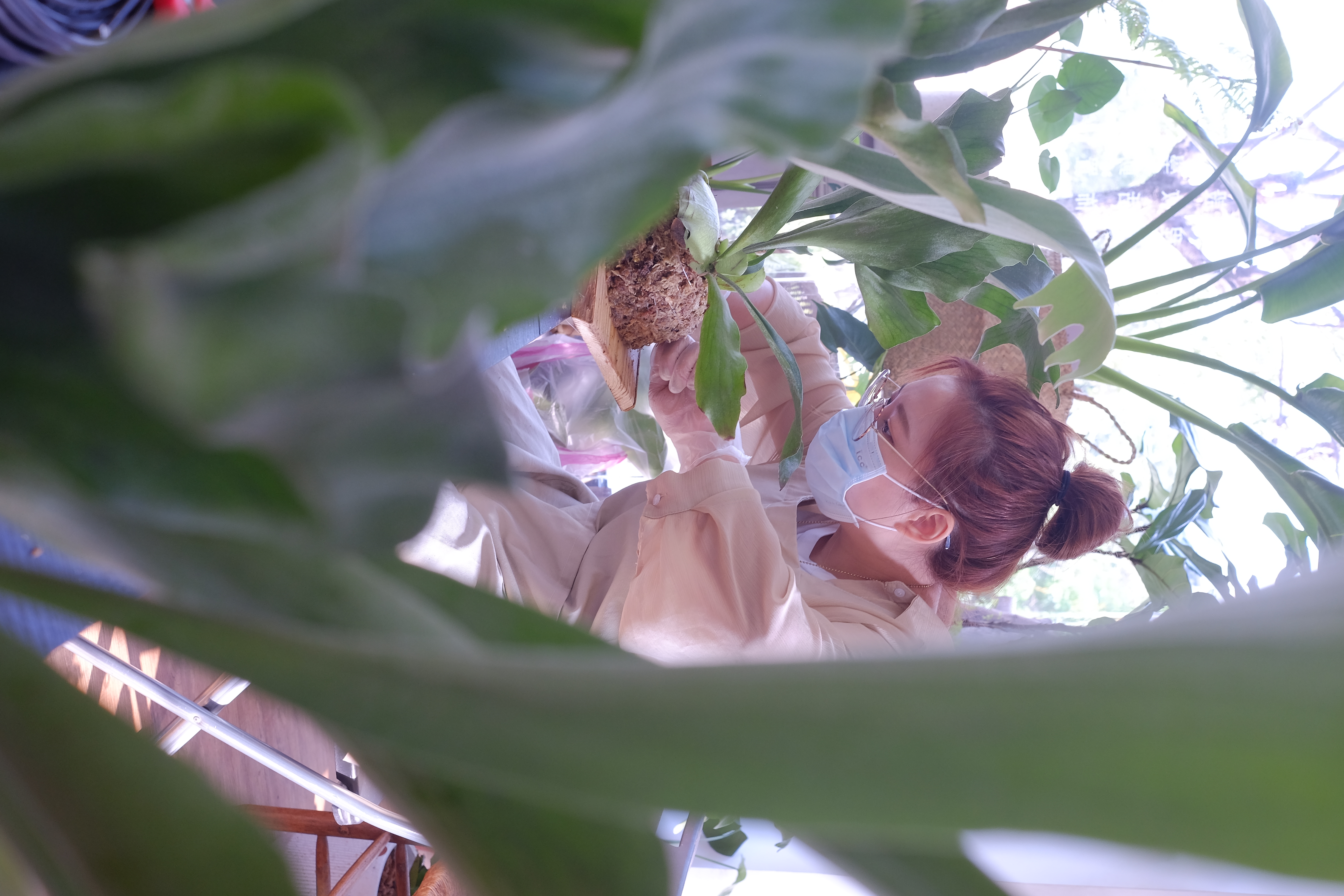 S__77660185.jpg S__77660185.jpg