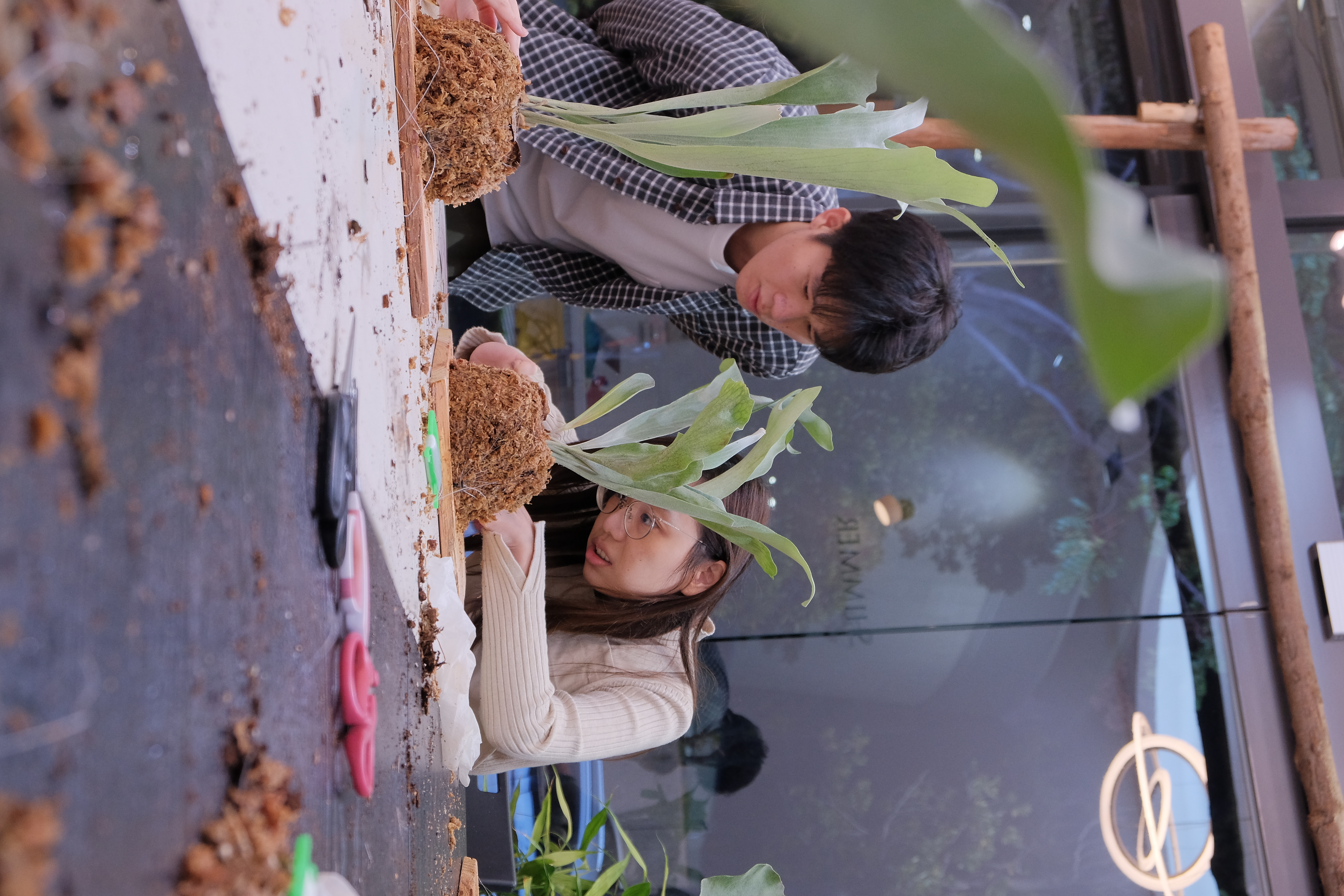 DSCF1428.JPG DSCF1428.JPG