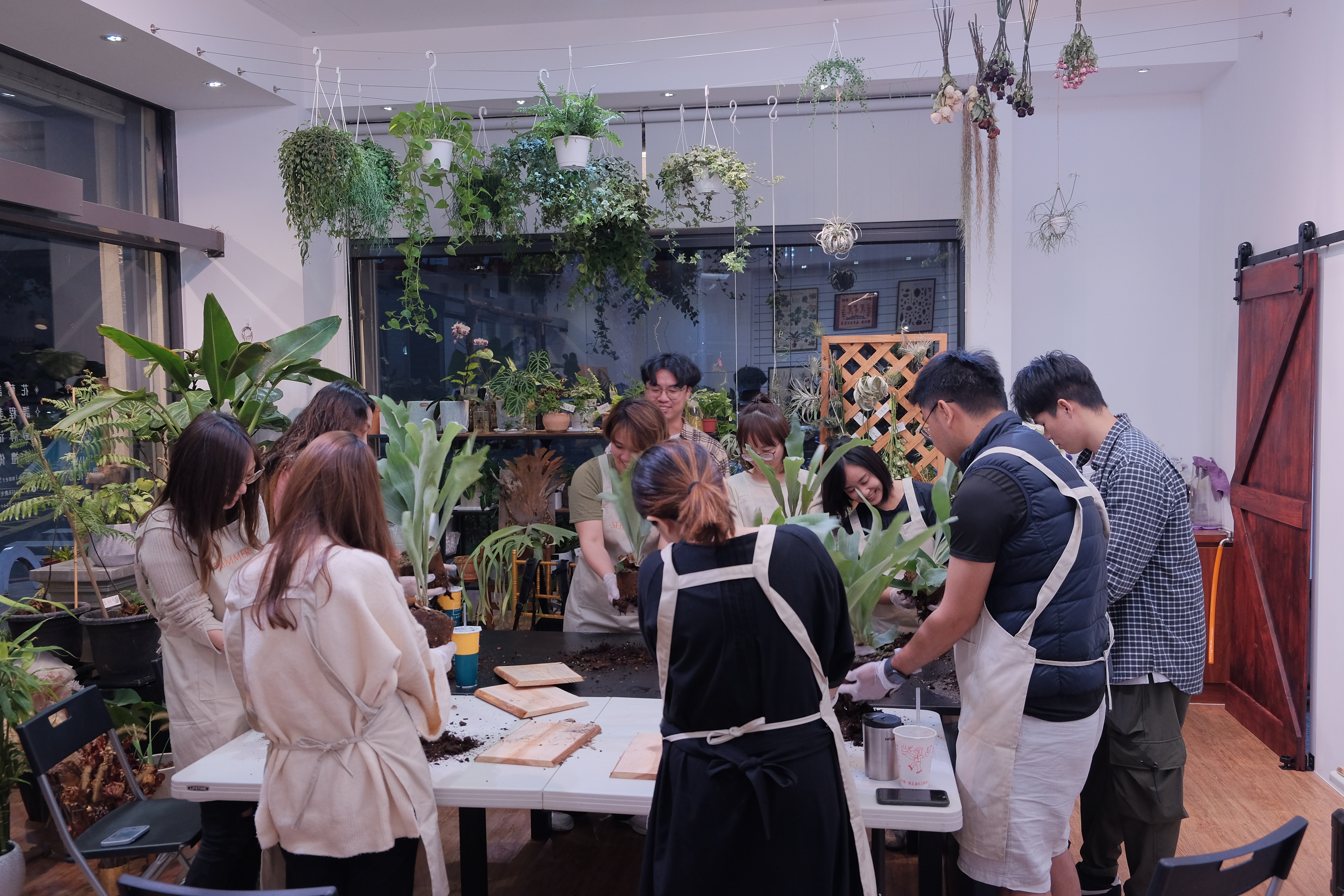 DSCF1350.JPG DSCF1350.JPG