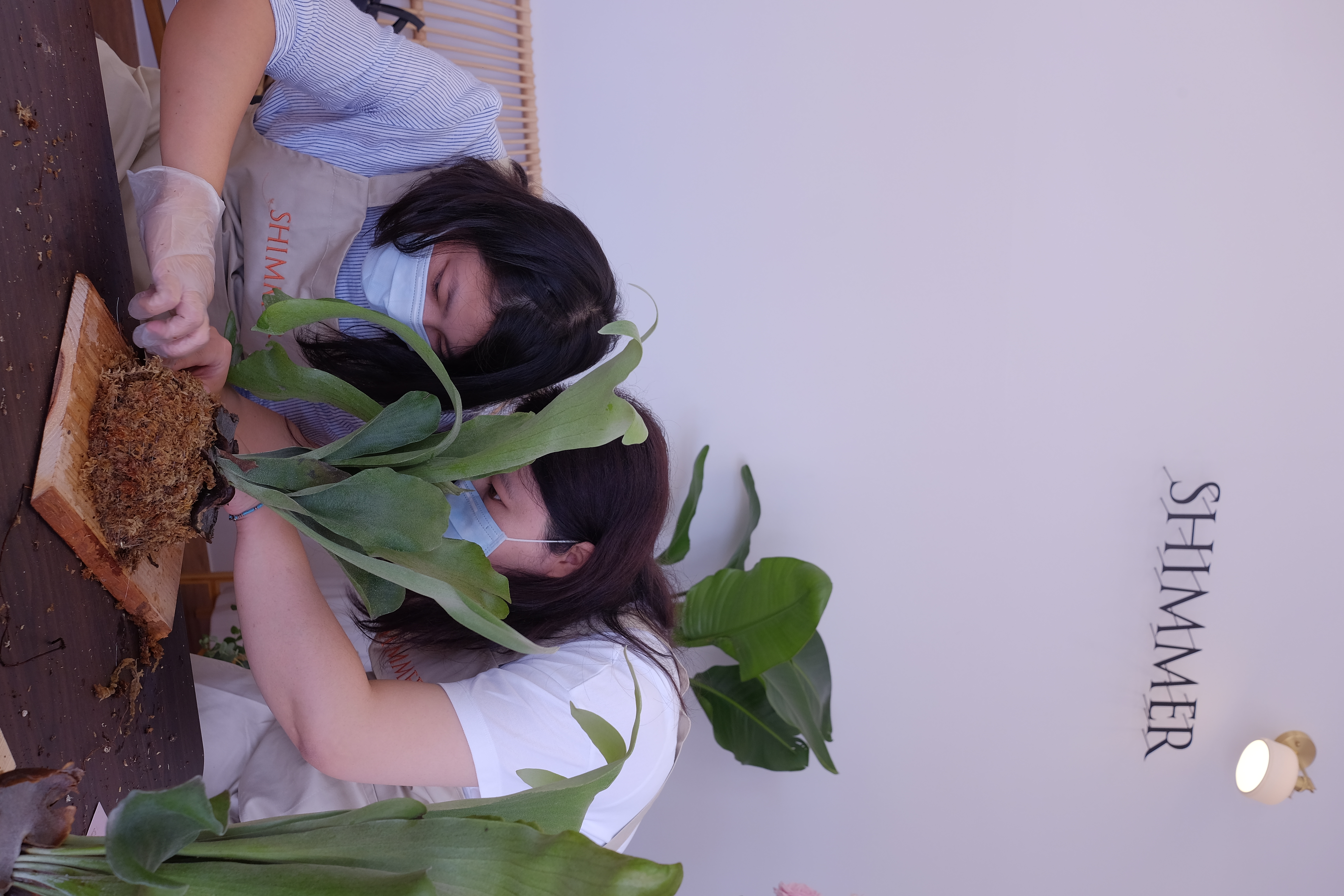 S__77660195.jpg S__77660195.jpg