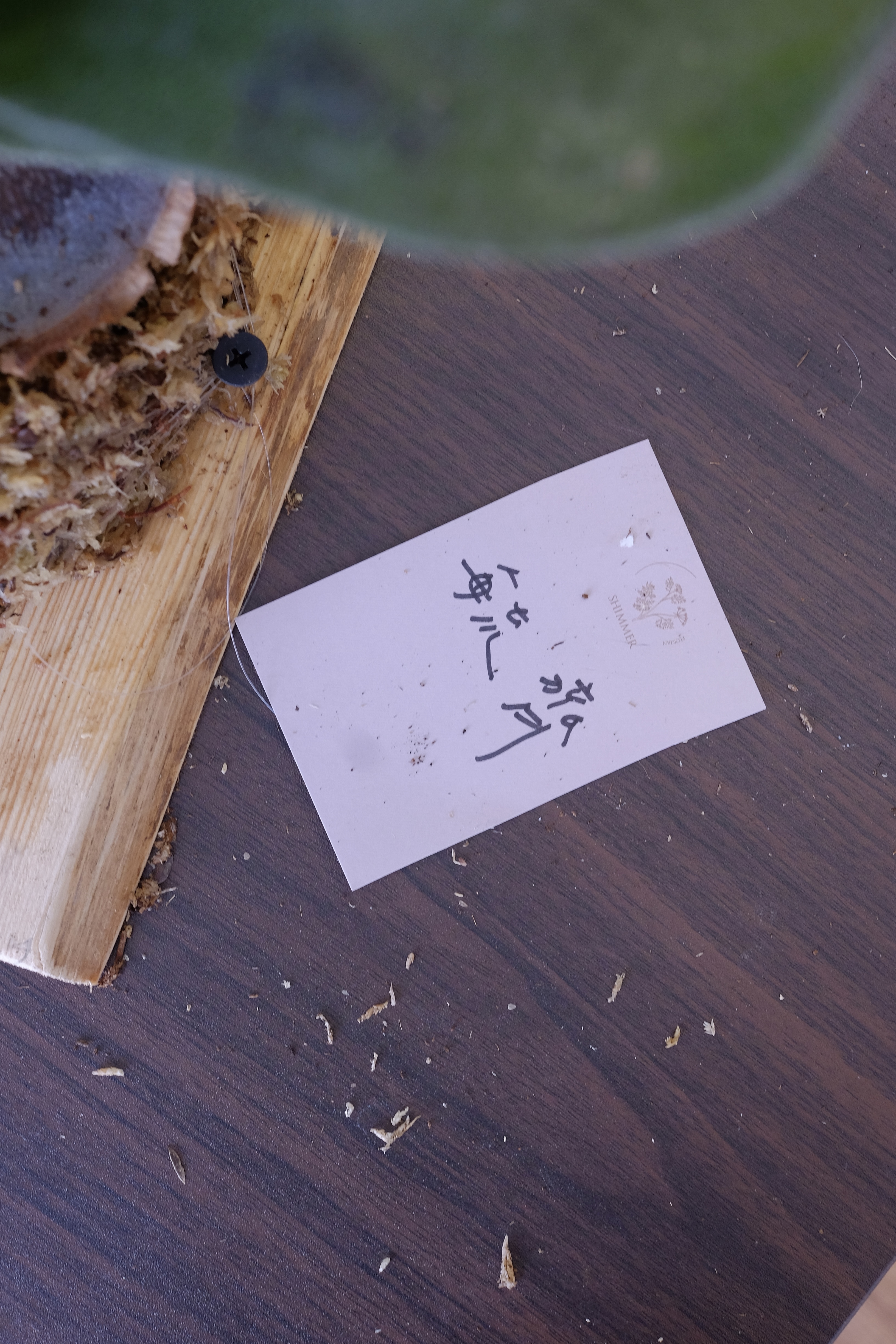 S__77660194.jpg S__77660194.jpg