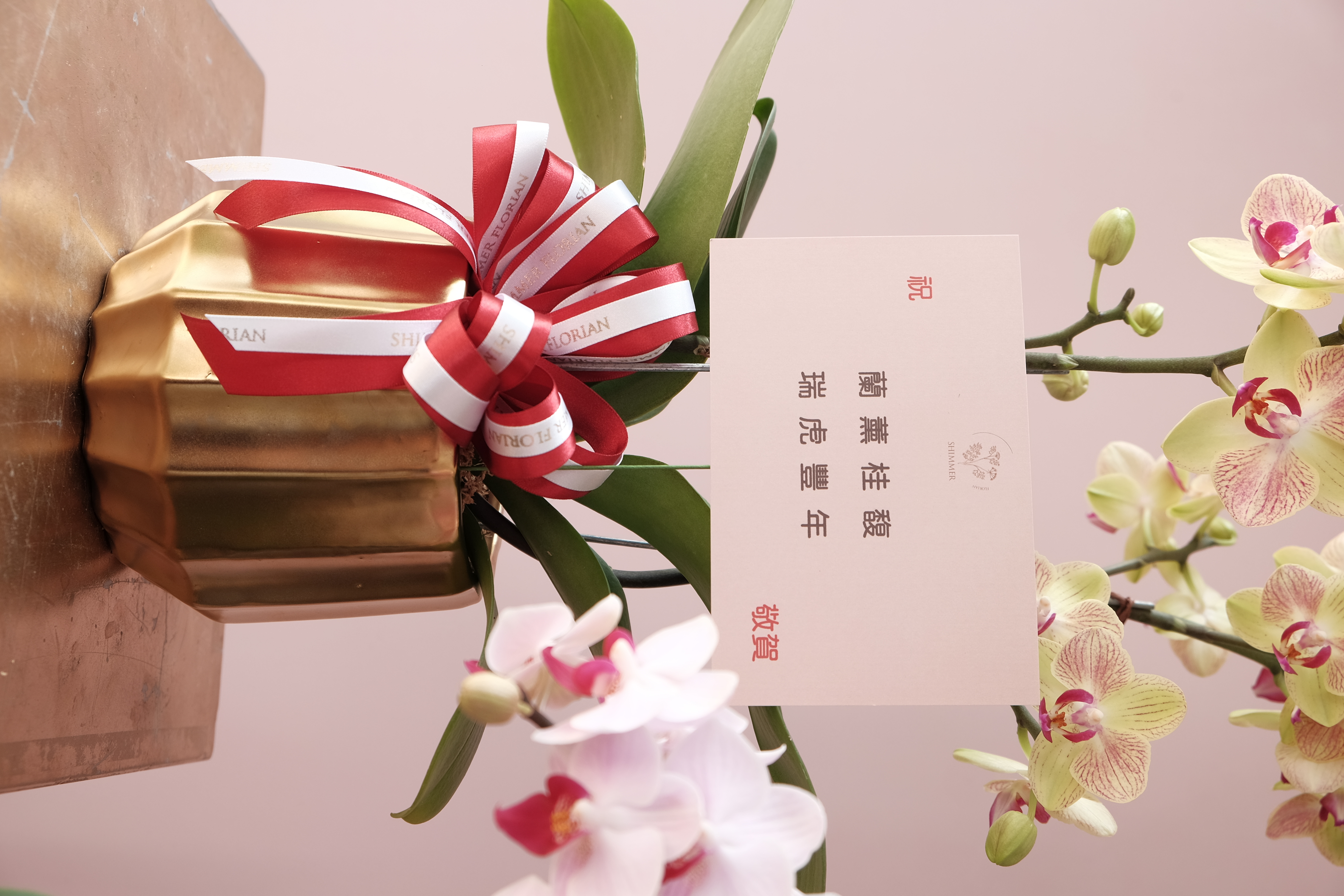 緞帶及小卡示意圖