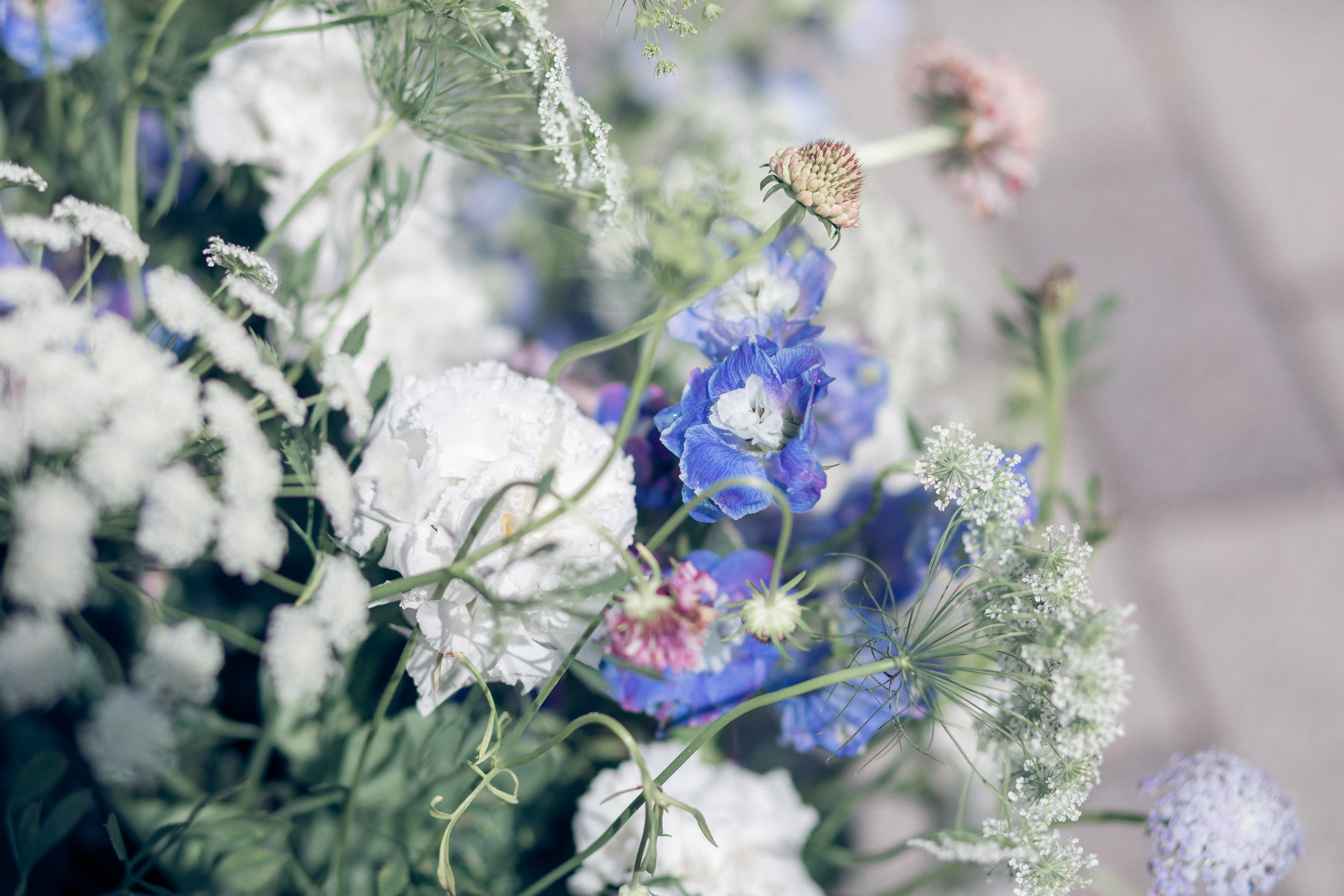 花藝拱門 (1).jpg 花藝拱門 (1).jpg