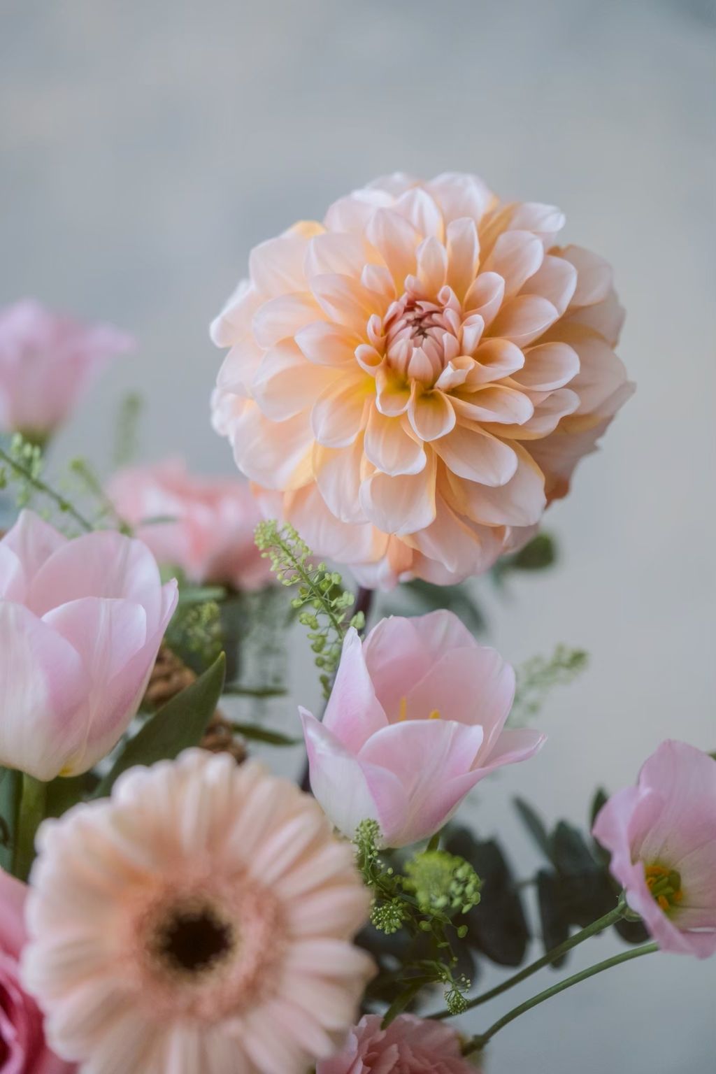 LINE_ALBUM_2025.9.25_260321_12