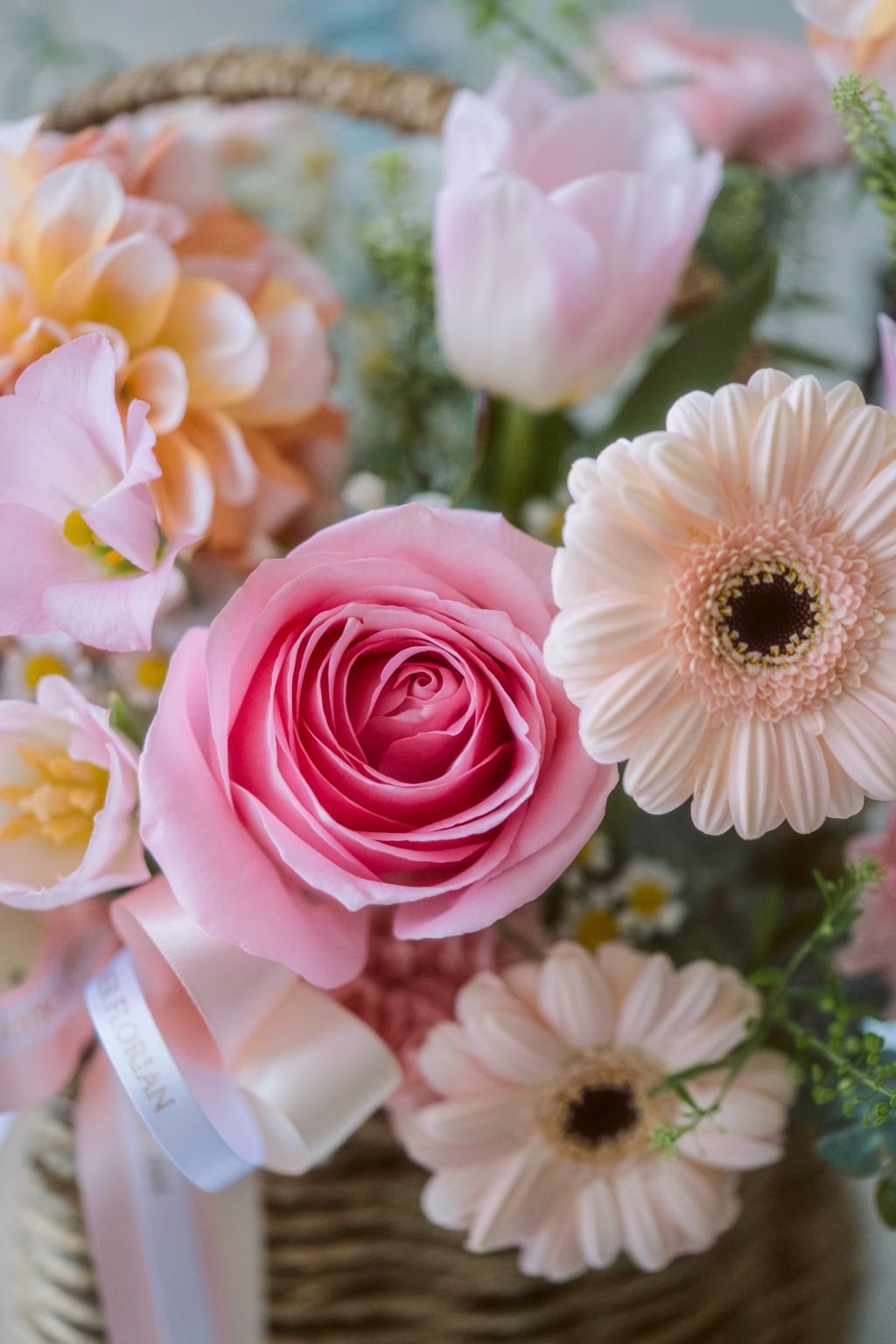 LINE_ALBUM_2025.9.25_260321_11