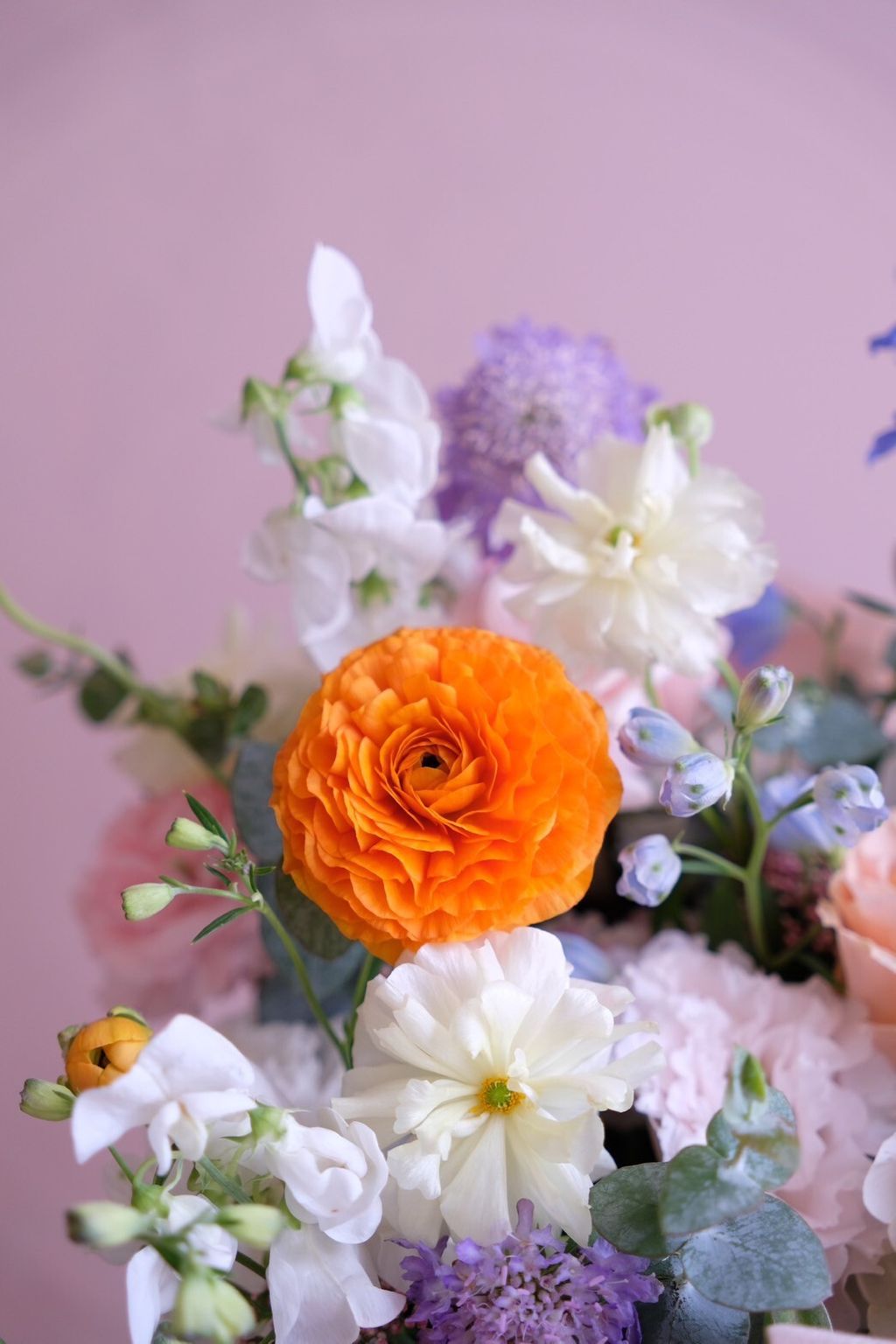 LINE_ALBUM_202646_260406_2