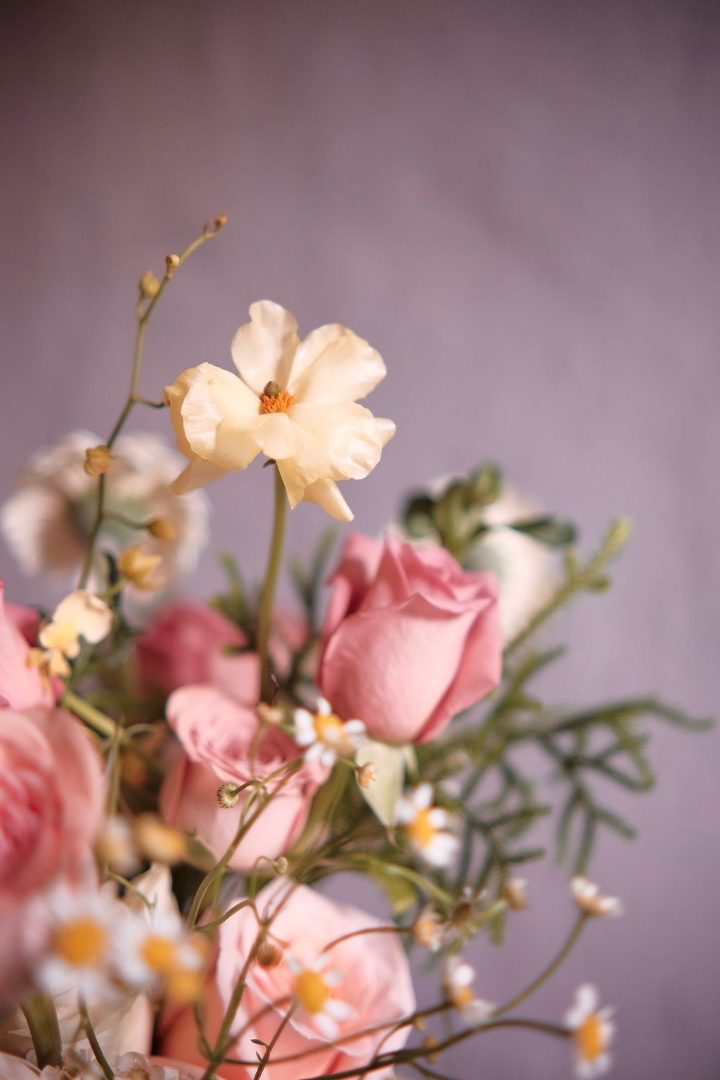 F491780B-3533-469E-9282-B14324053657