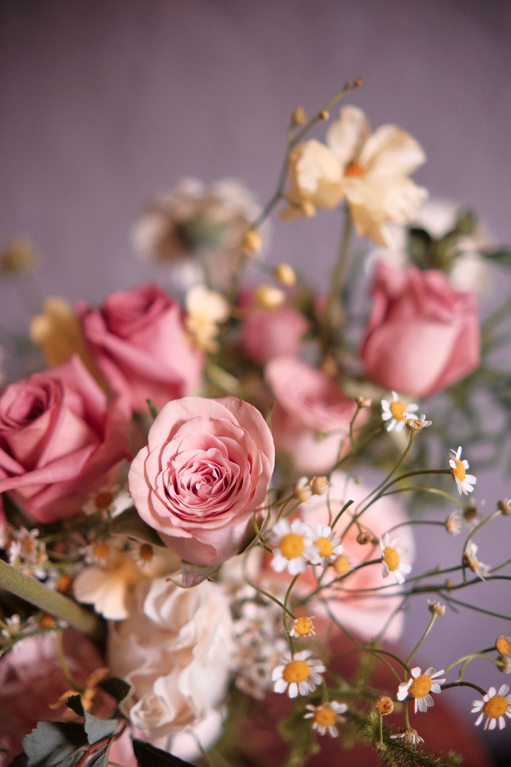 5D0CFAF6-BDFC-4905-8497-3AE326297E45