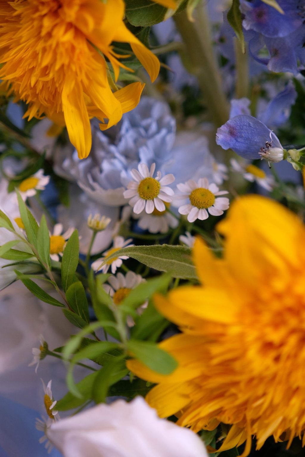 LINE_ALBUM_202668_260608_14