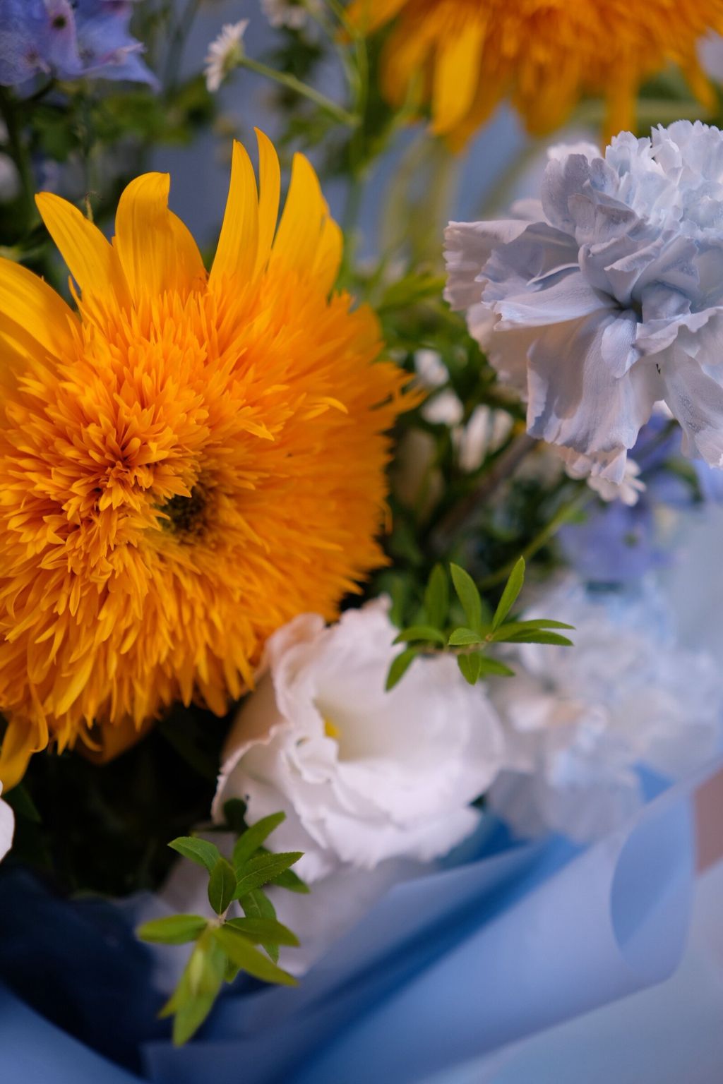 LINE_ALBUM_202668_260608_13