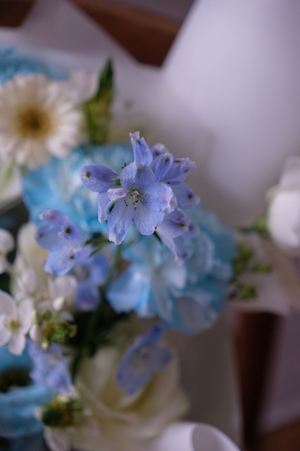 LINE_ALBUM_202668_260608_34