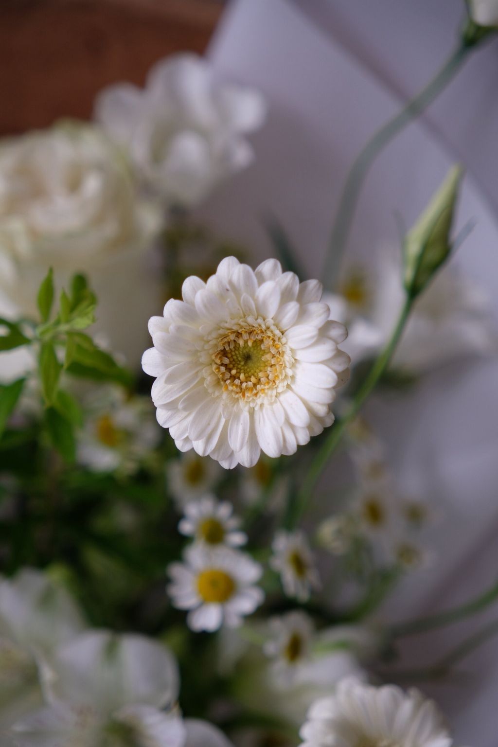 LINE_ALBUM_202668_260608_25