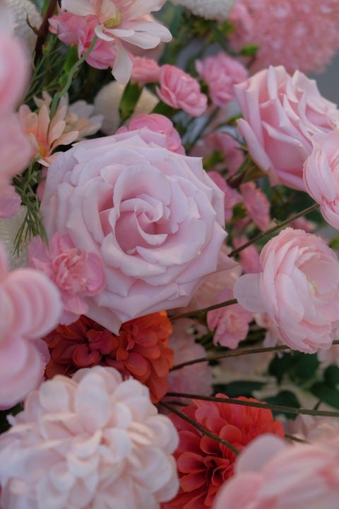 DSCF9172