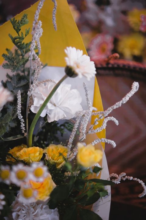 PIC6 (大)