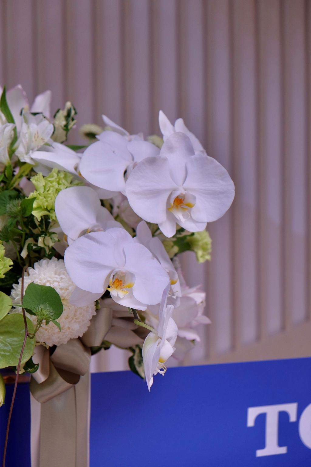 image_A3A3C45A-EF94-4BD8-ADE3-3B54A9DF1FEB_1790745199