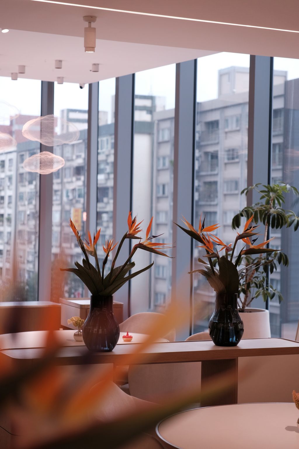 image_2A2C96A3-D0F0-4EDD-91A2-8E752FDE45CB_1742465376