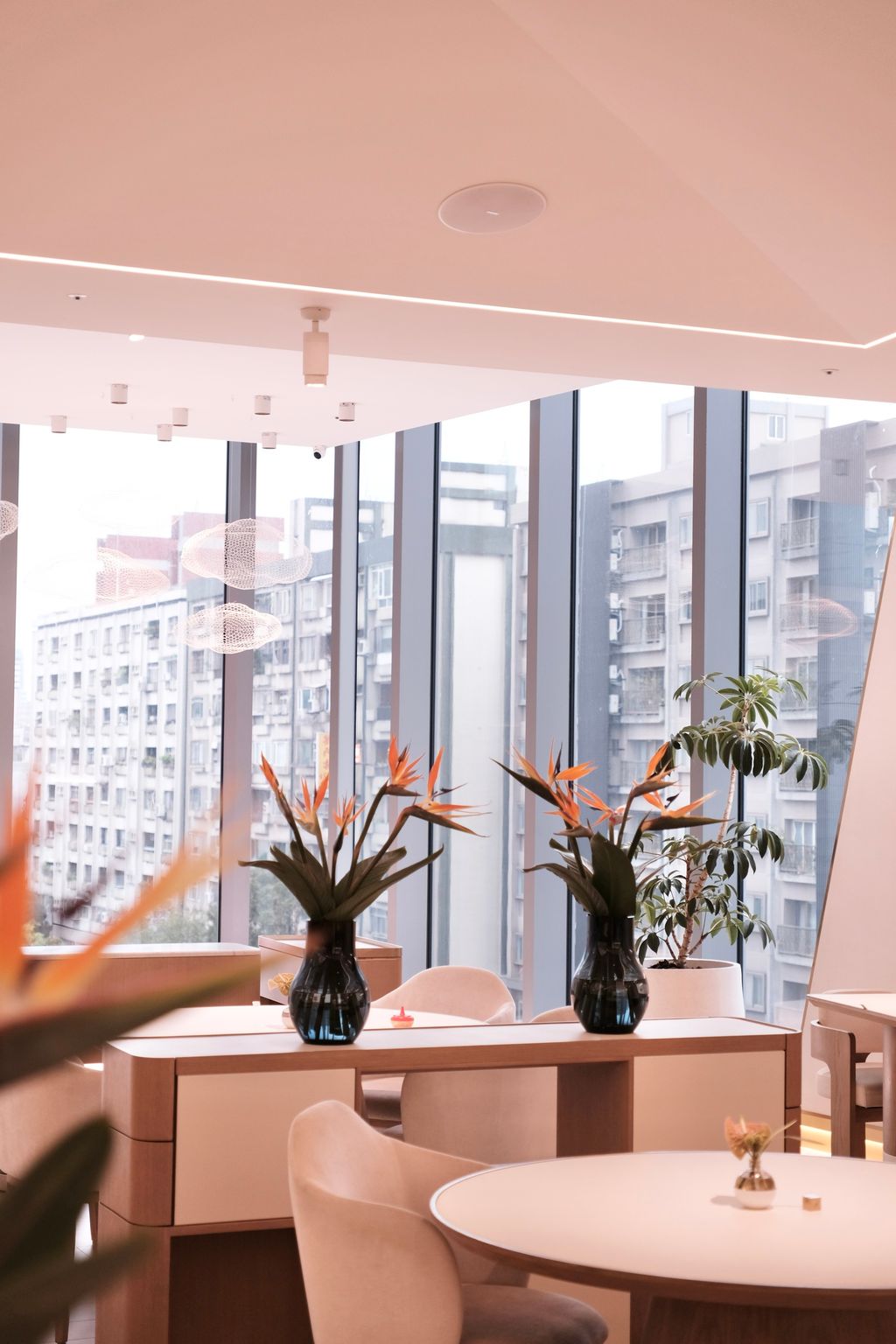 image_F9B80FAB-4007-4B43-85A4-EEA8F5EF7FE5_1742465376