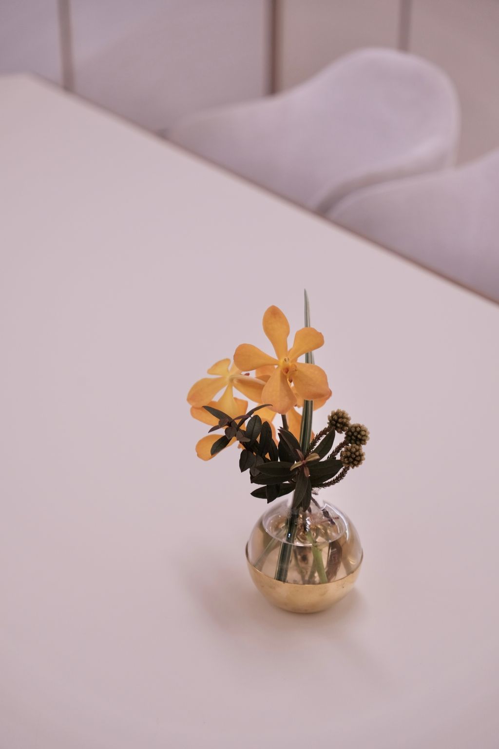 image_413DBAA4-E831-476E-9D33-53E48B607692_1742465376