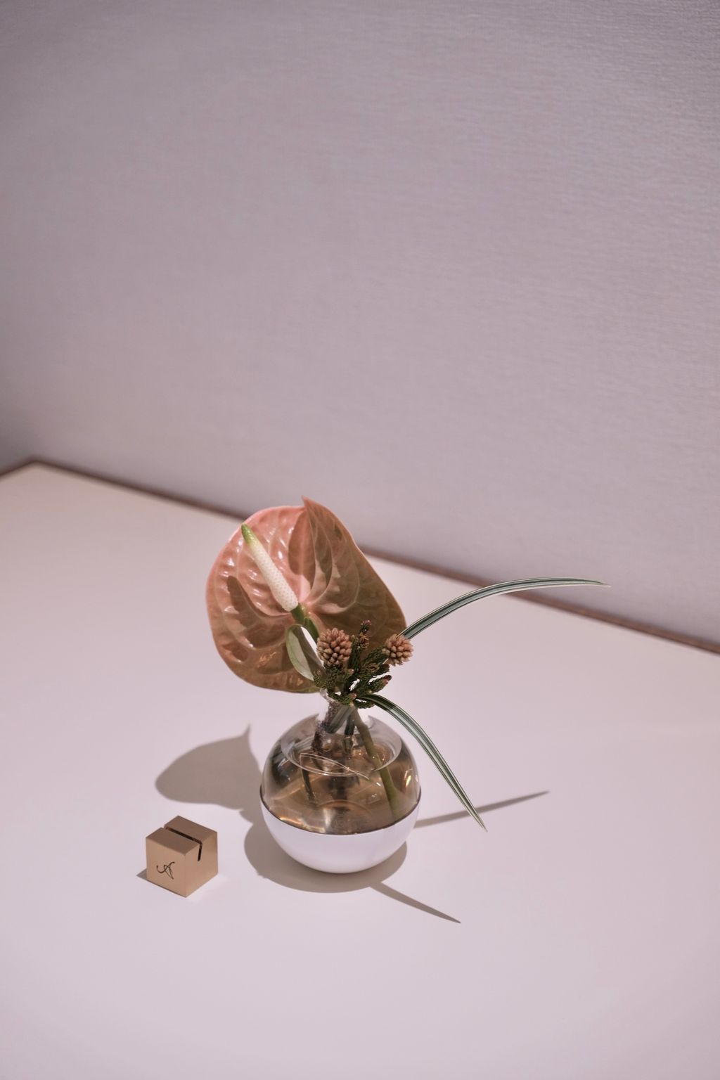 image_E78E1419-3CB4-42C9-87C1-73F8AE603FC3_1742465376