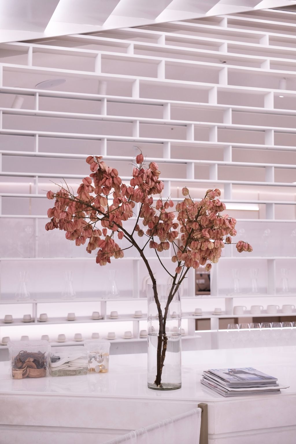 image_4BBB1F01-5E37-433F-8F45-A8F26C8D79A4_1742465376