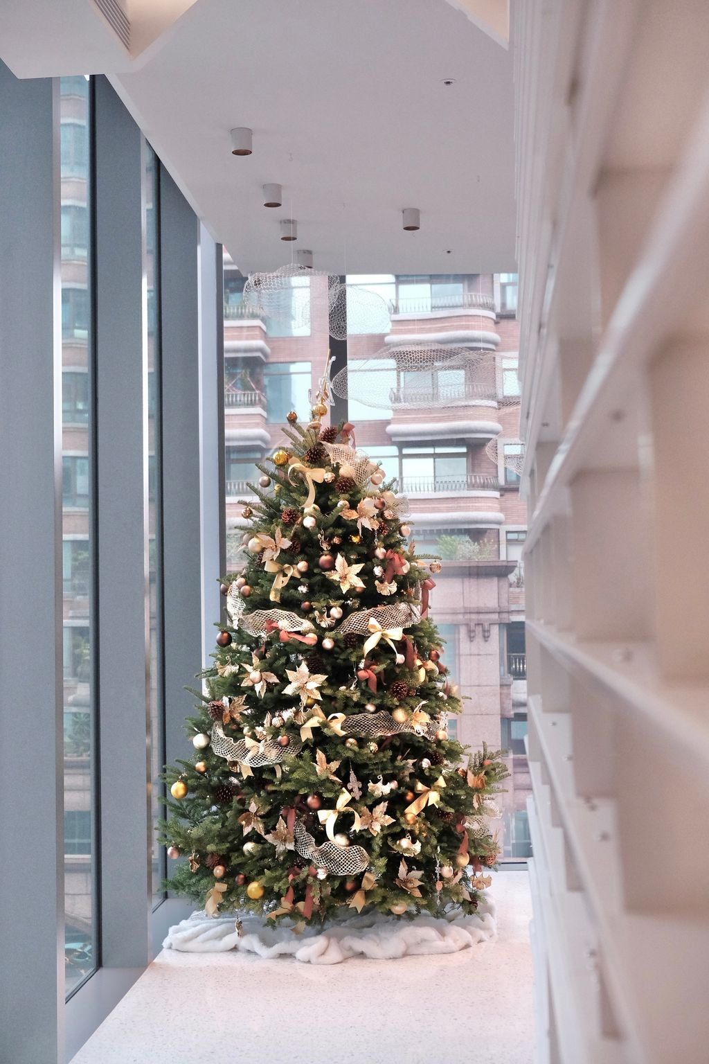 image_EB84ABF1-0A20-4BC1-A6E9-B7EAF9D9529E_1742465925