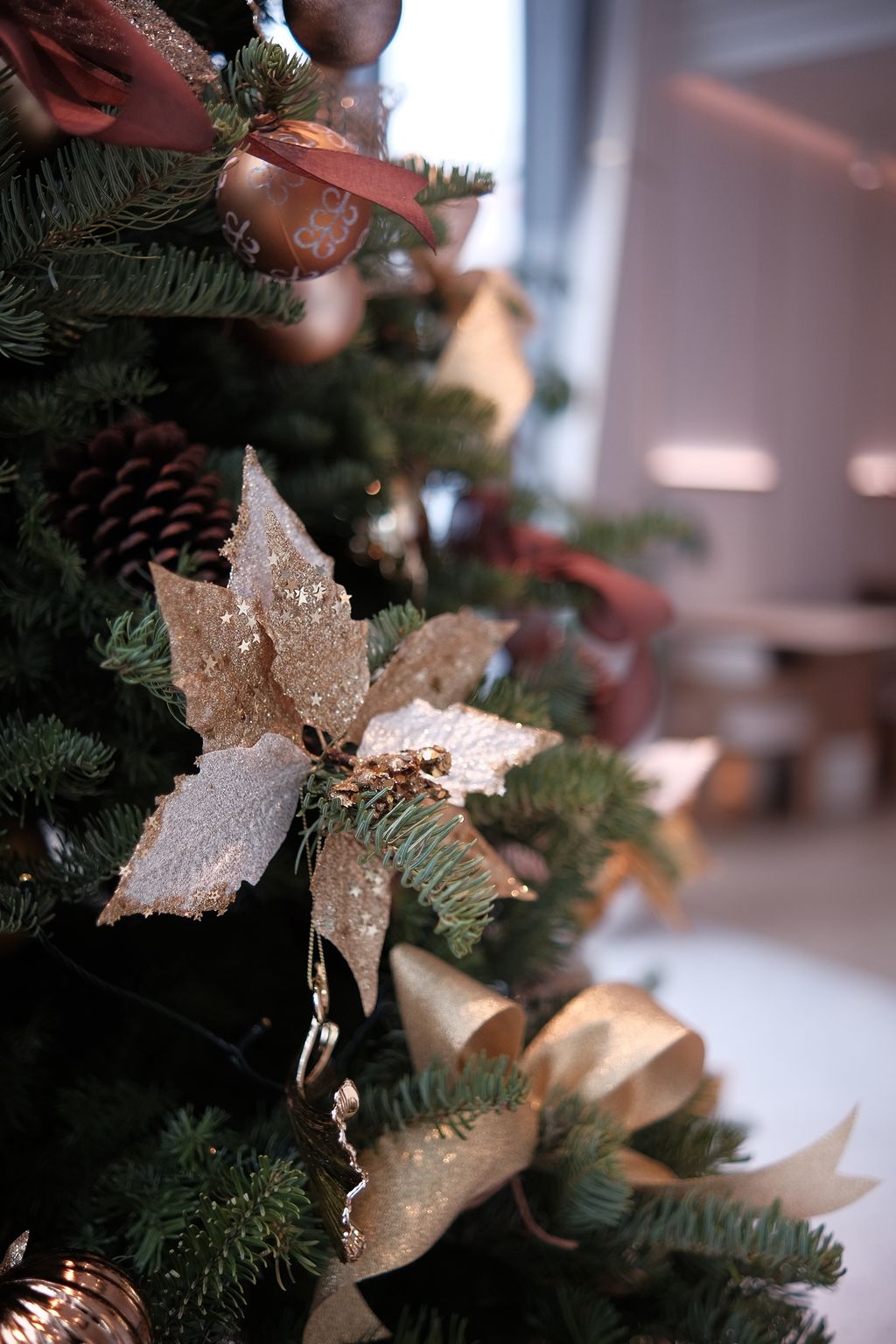 image_D7AC9BCB-7E7F-418E-8F47-9494434617D2_1742465925