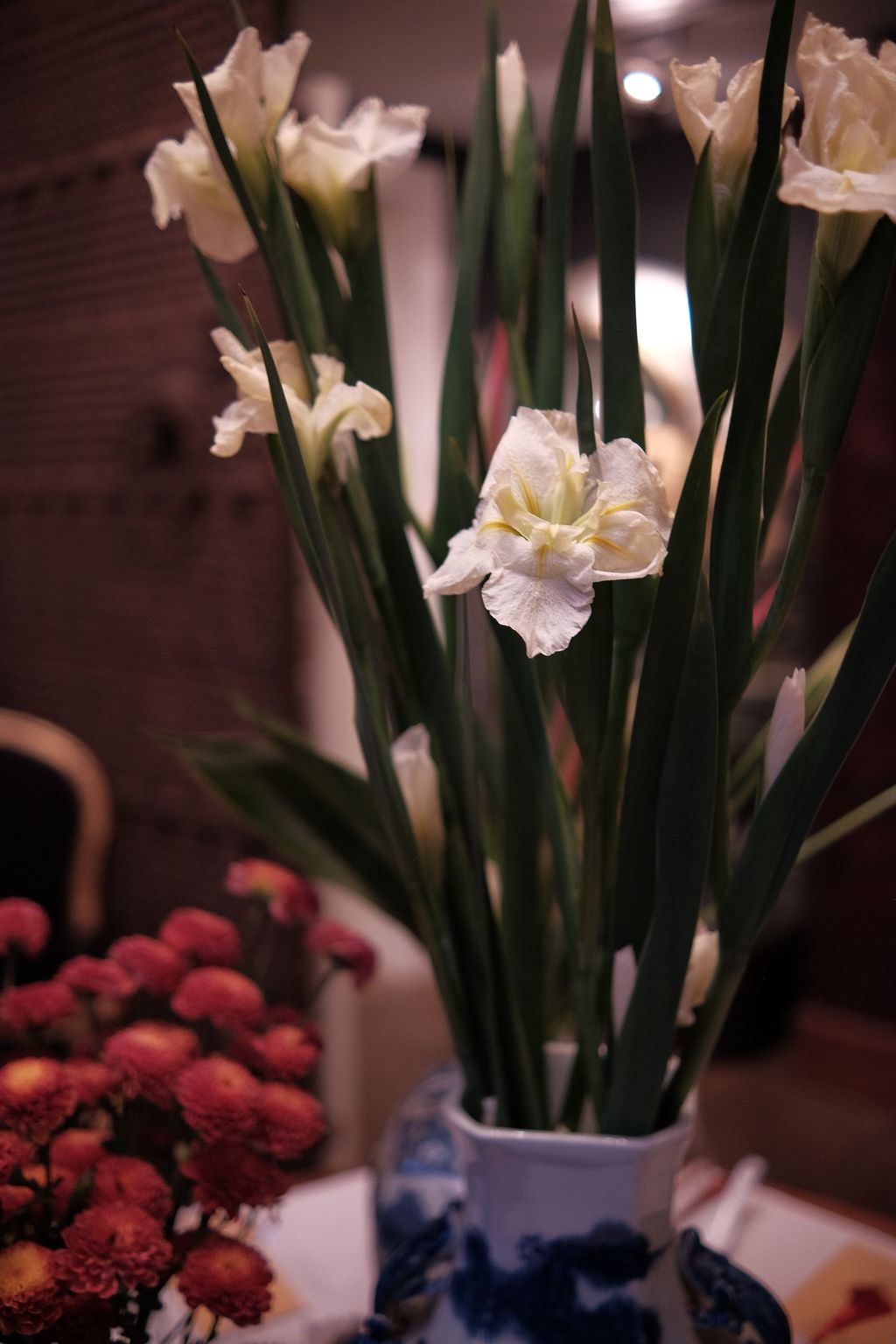 image_3C7B20D5-8043-4AAA-BBCC-0F988E85DDD9_1742704107