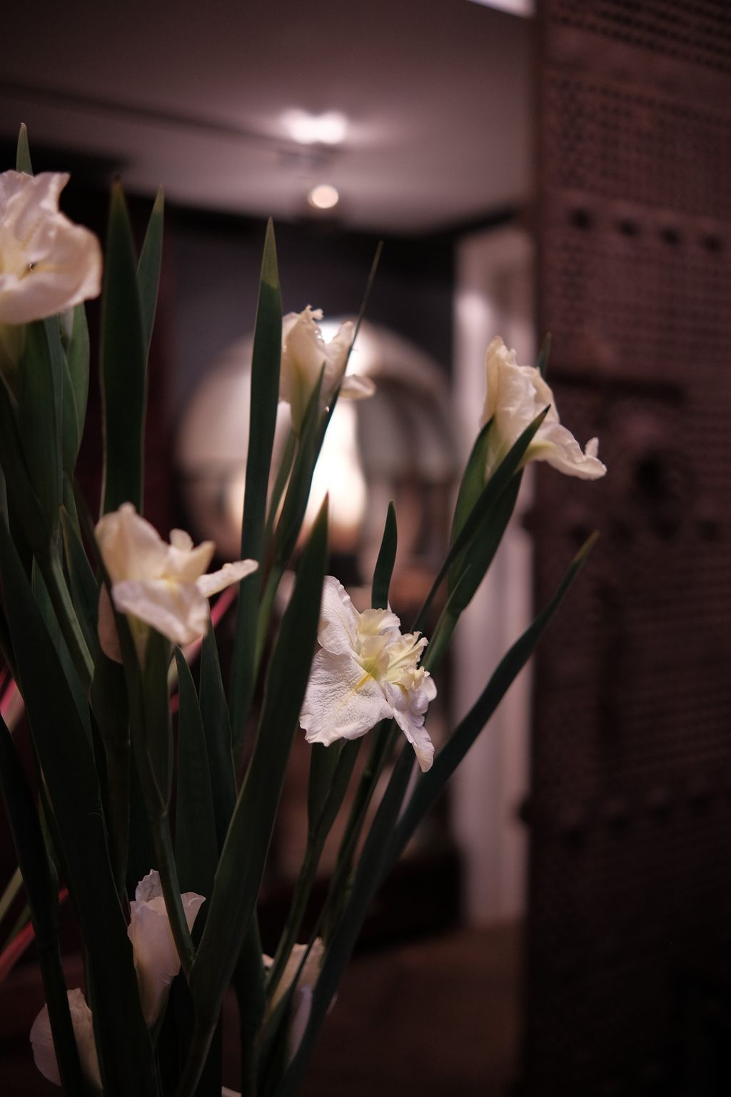 image_5AF0833F-7F9E-4394-9D10-C25A84F78D01_1742704107