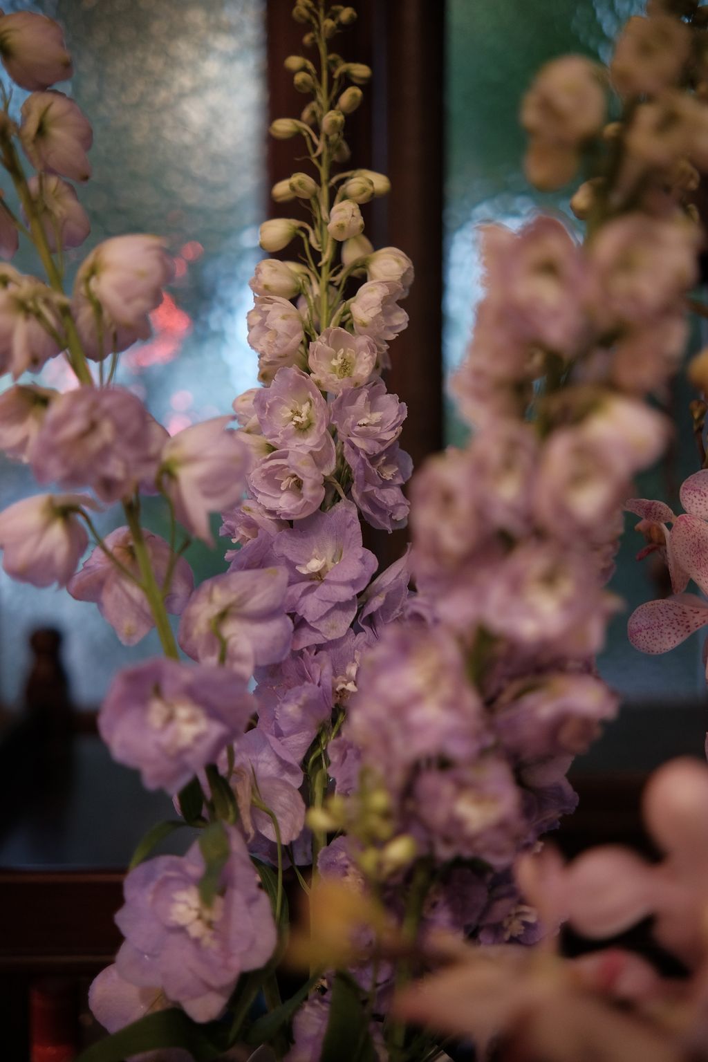 image_DBCADCDF-4E97-4E1B-8F25-DC435259ECD0_1742704107