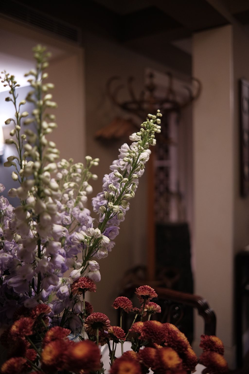 image_0F420D21-612A-4763-9E8C-17C0785E5036_1742704107