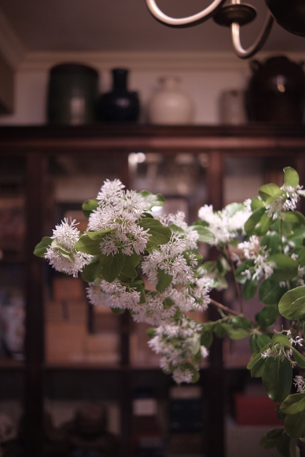 image_7B916DB5-8FDE-42F7-AE30-12AF8207326C_1742704108