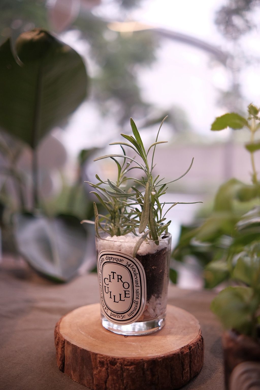 LINE_ALBUM_726 漢神巨蛋_250816_2