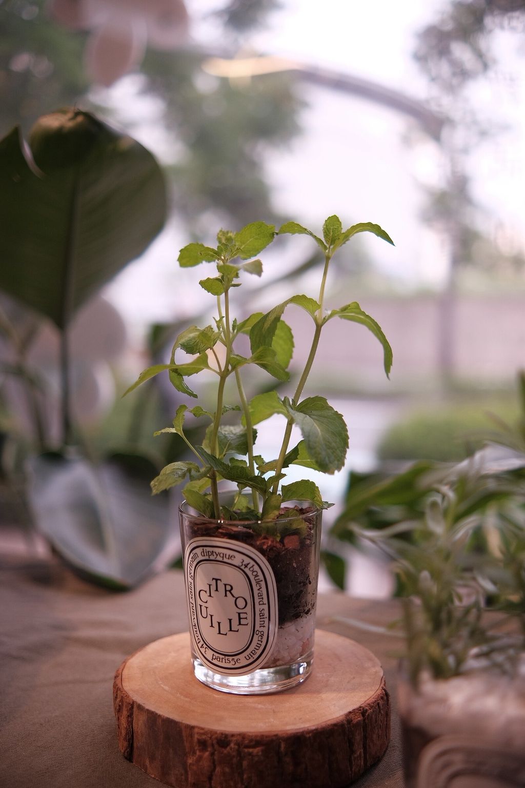 LINE_ALBUM_726 漢神巨蛋_250816_3