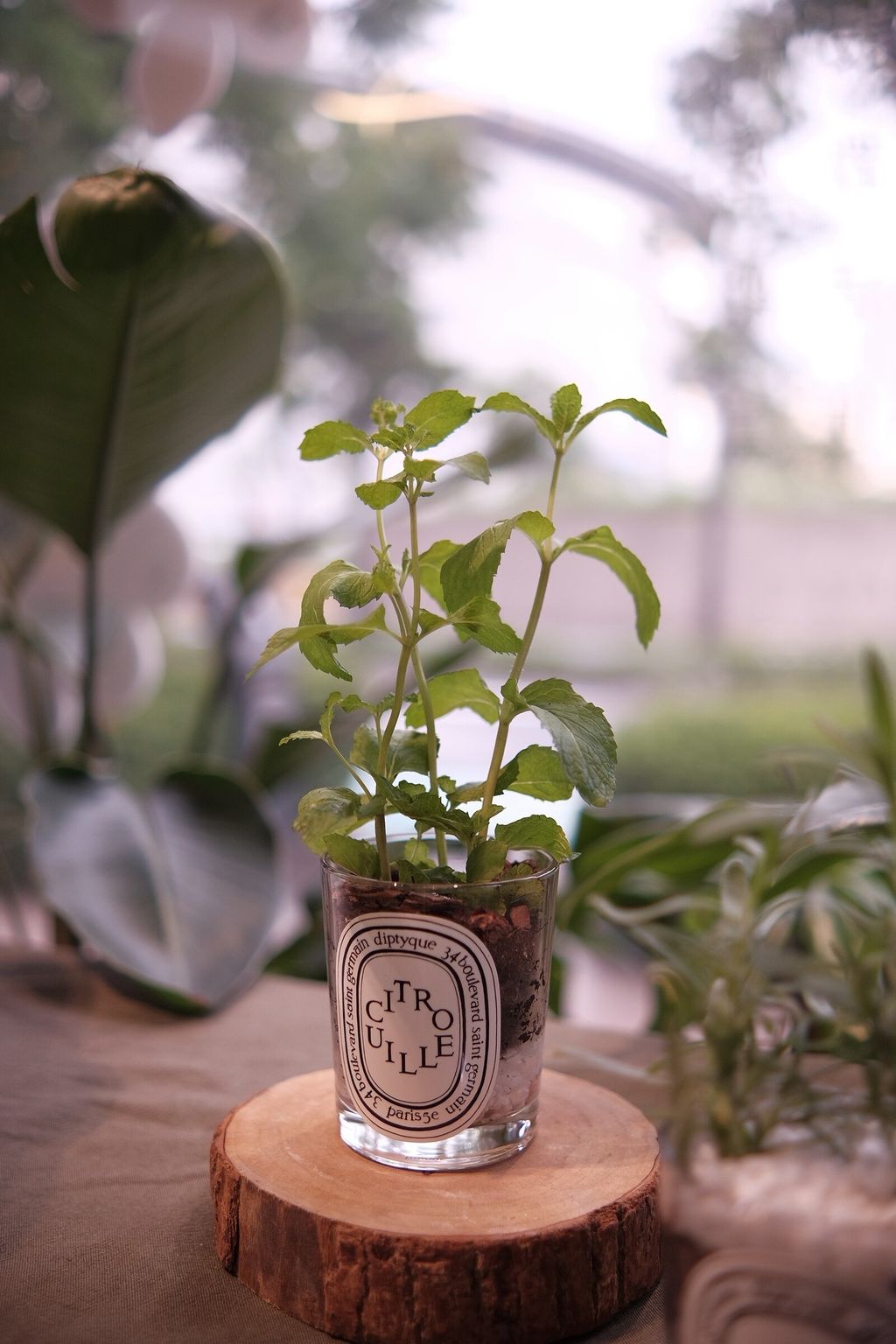 LINE_ALBUM_726 漢神巨蛋_250816_4