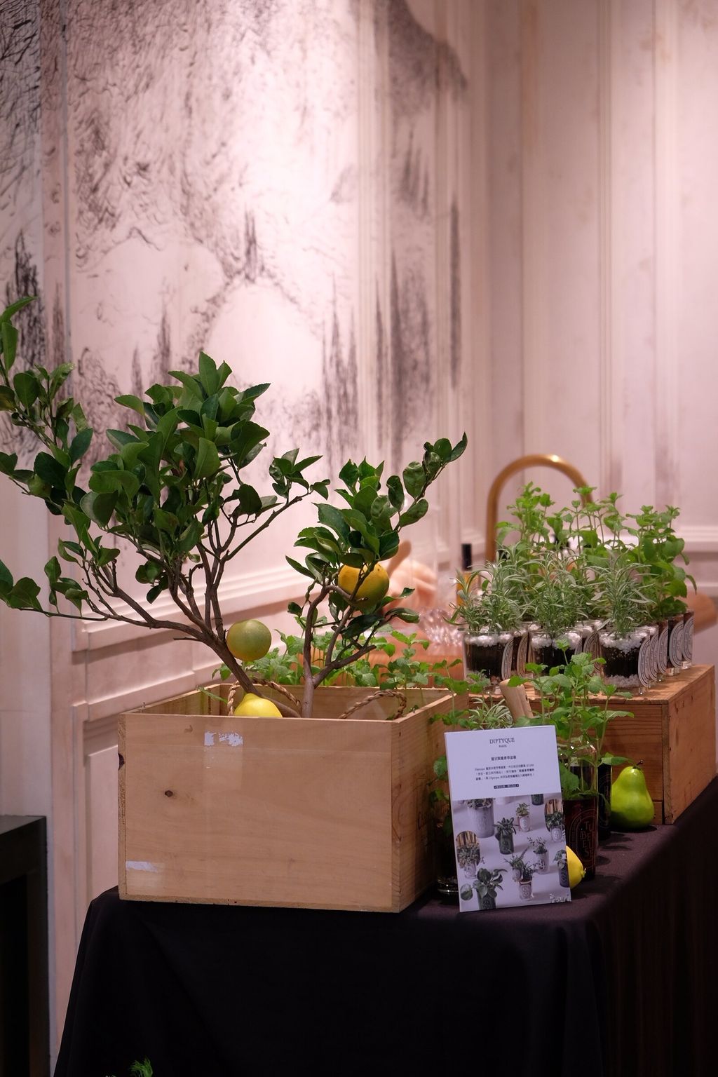 LINE_ALBUM_726 漢神巨蛋_250816_15