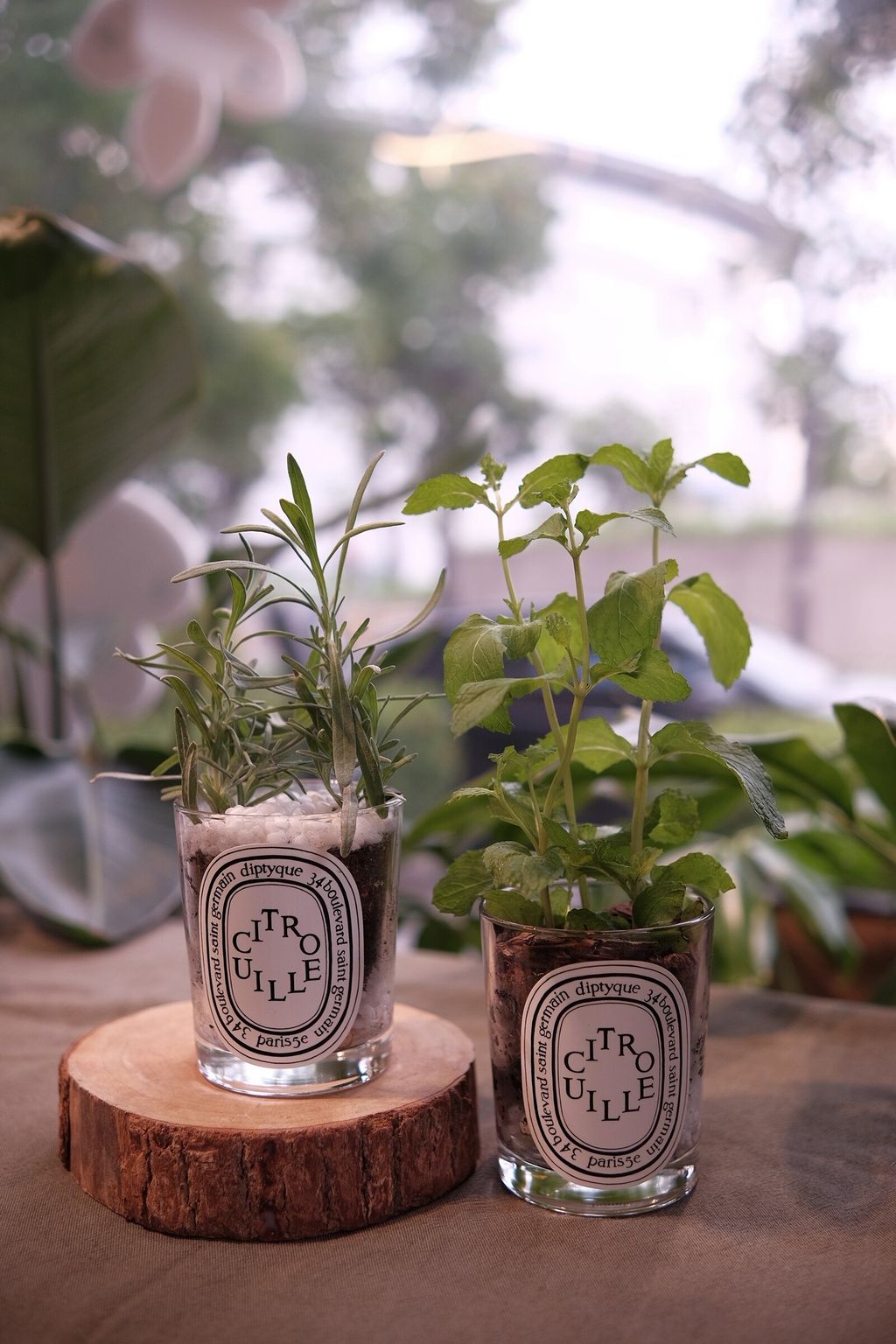 LINE_ALBUM_726 漢神巨蛋_250816_1