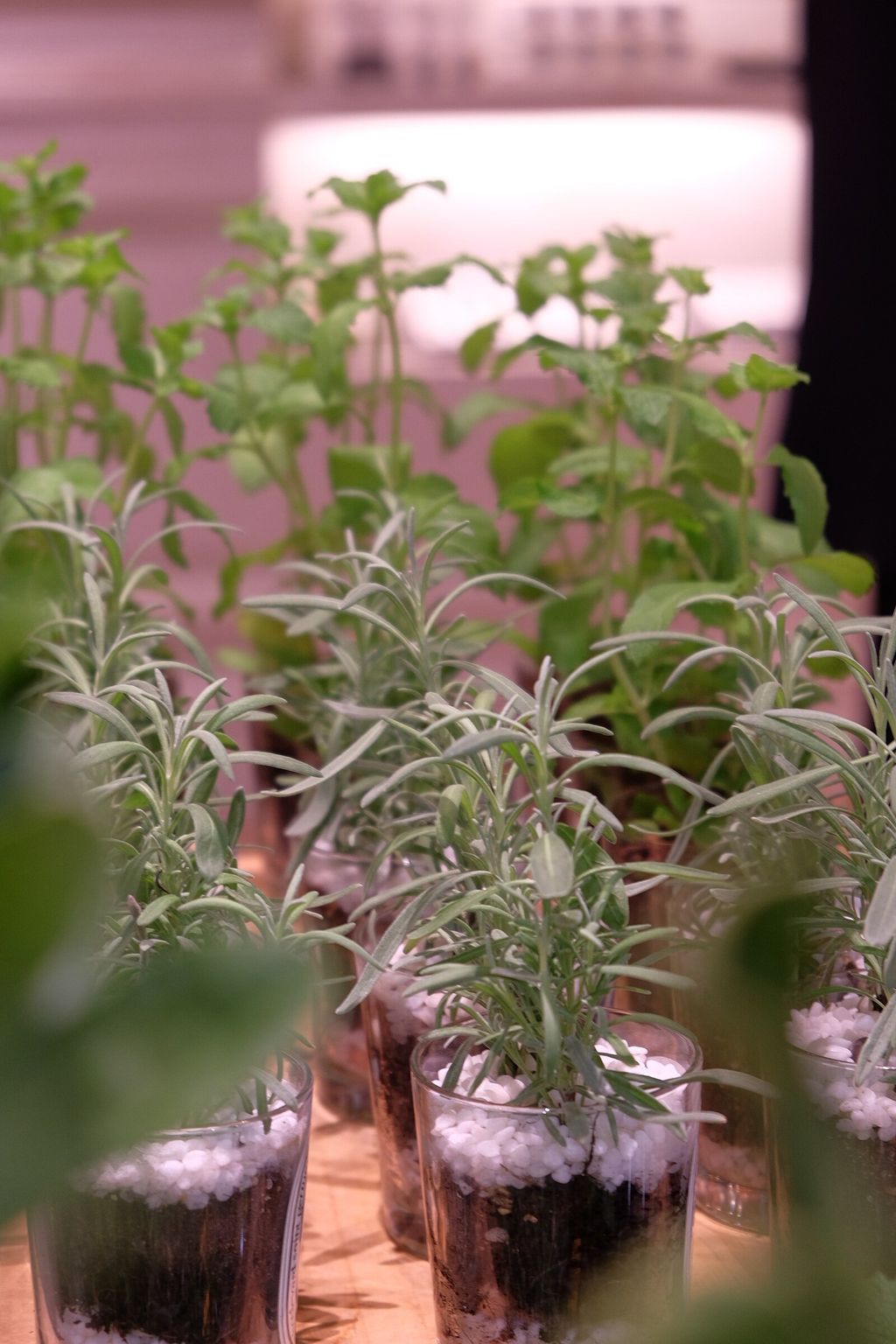 LINE_ALBUM_726 漢神巨蛋_250816_9